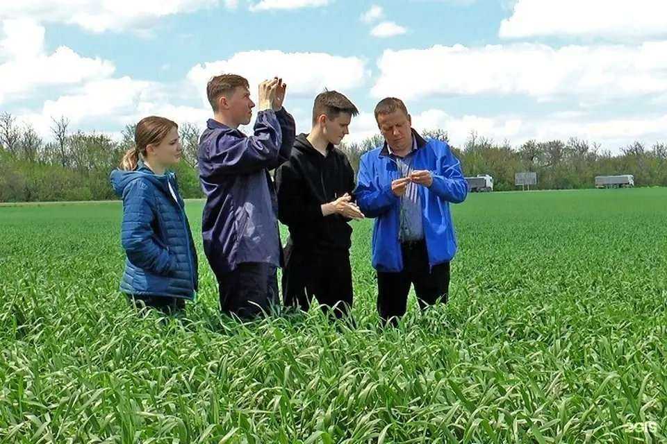 Отзывы на компанию Покровский в г. Ростов-на-Дону c фото