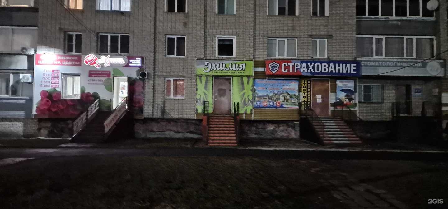 Отзывы на компанию Эмилия в Камени-на-Оби c фото