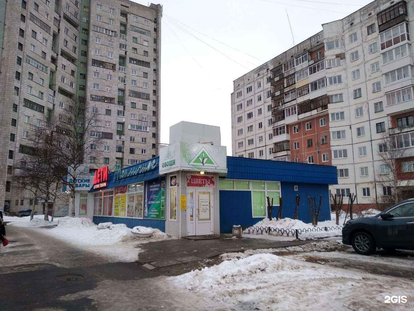 Отзывы на компанию Роза-мимоза29 в Северодвинске c фото - фотография 2 из 2