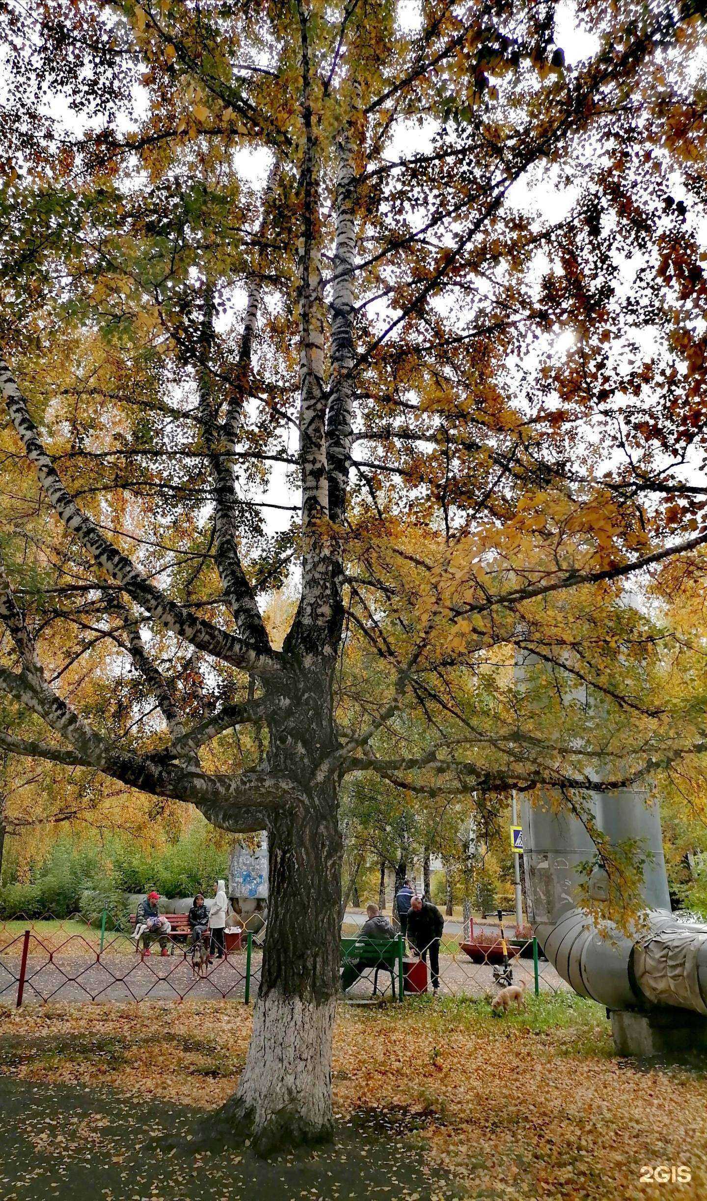 Отзывы на компанию Hit в Кемерове c фото - фотография 2 из 2