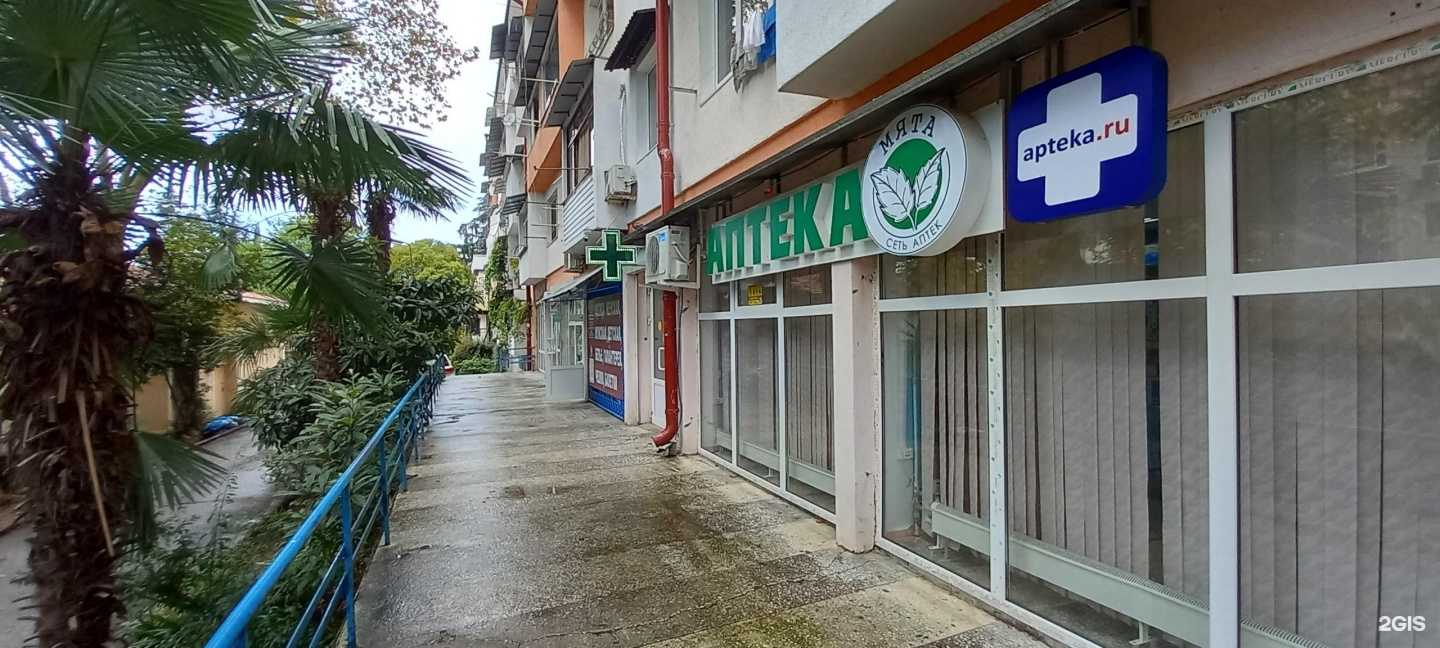 Отзывы на компанию Мята в Сочи c фото