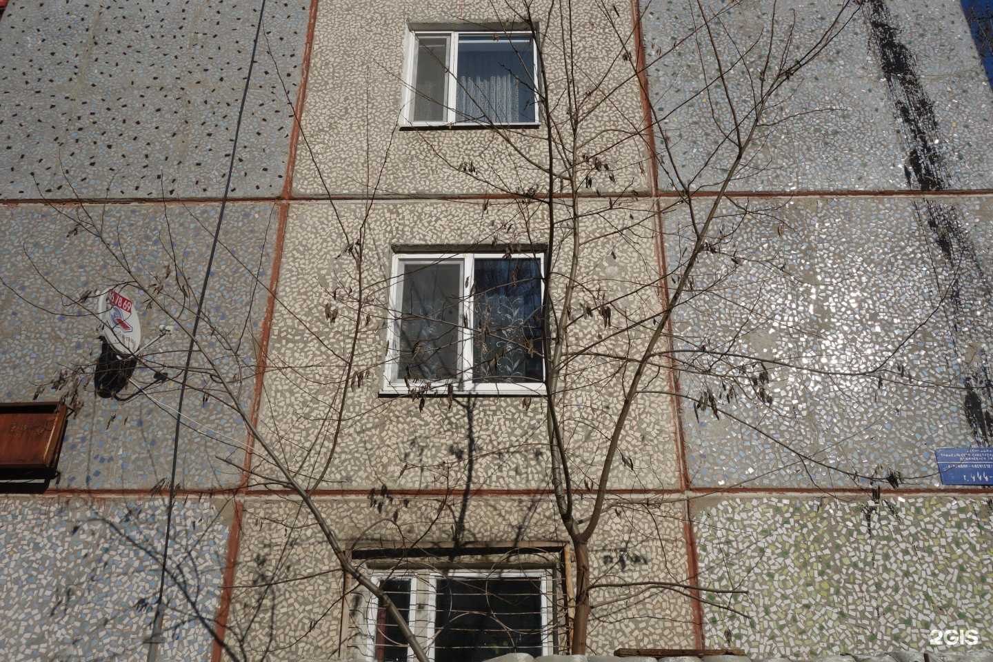 Отзывы на компанию Petjoy в Саратове c фото - фотография 2 из 2