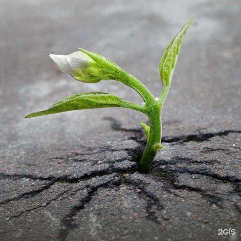 Отзывы на компанию Неон в г. Реутов c фото