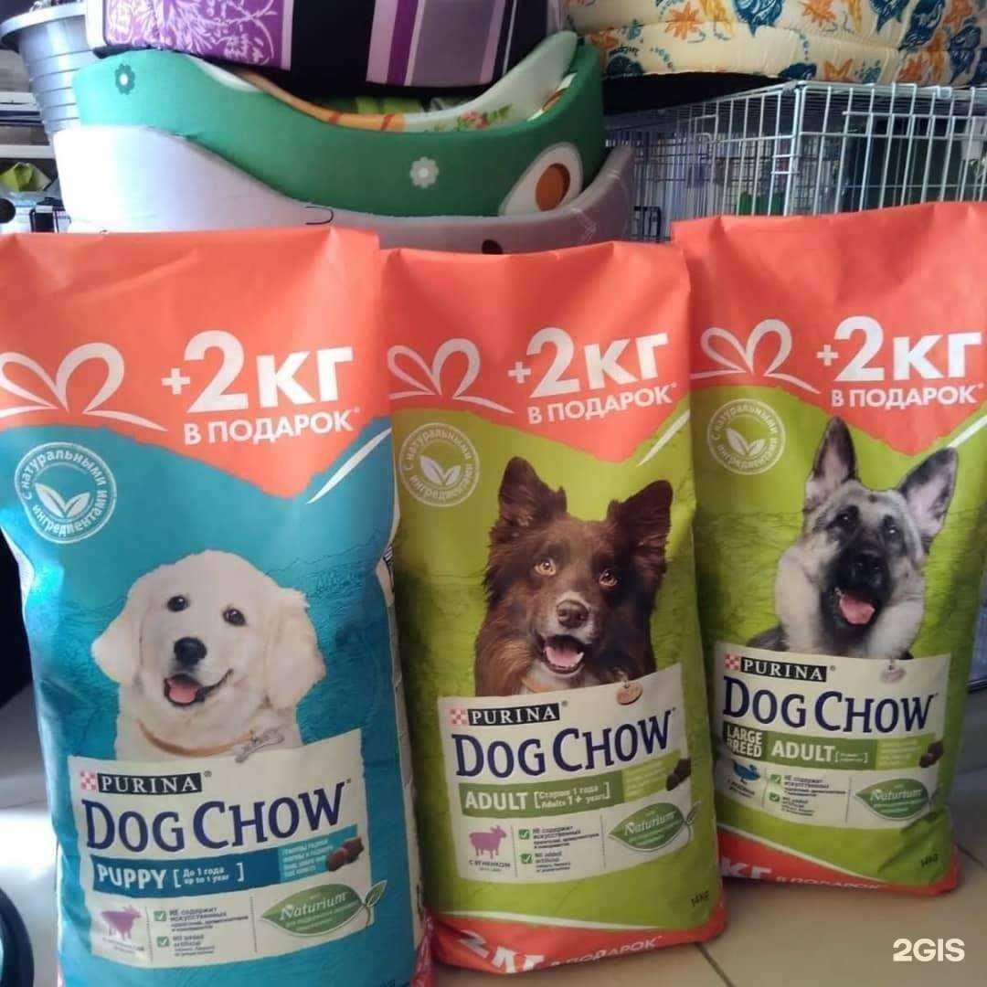 Отзывы на компанию 8я в Армавире c фото