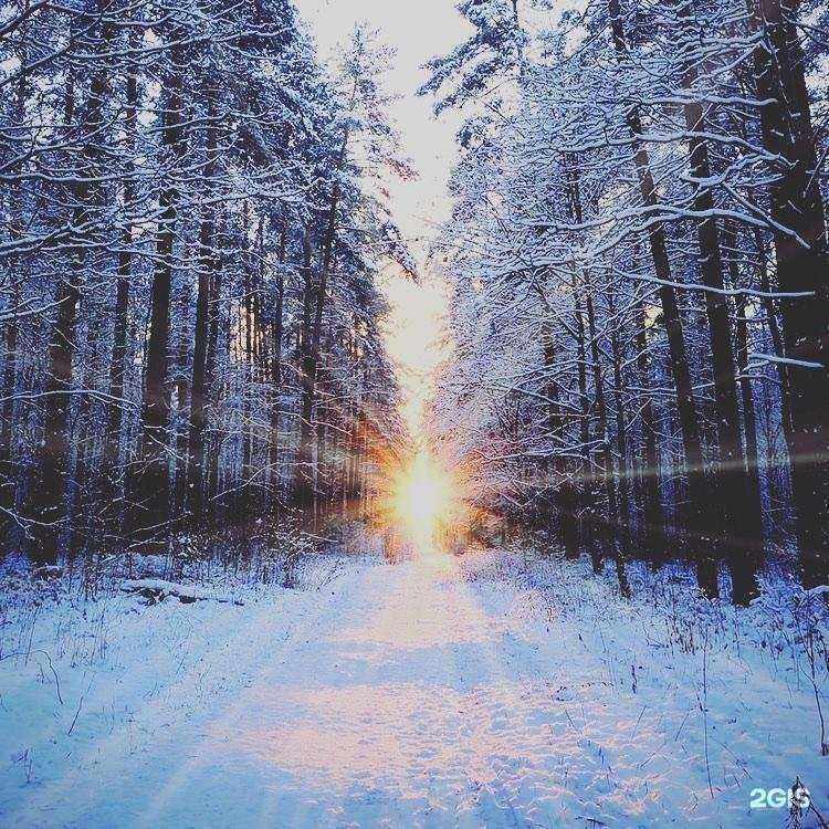 Отзывы на компанию Наркомед в г. Якутск c фото