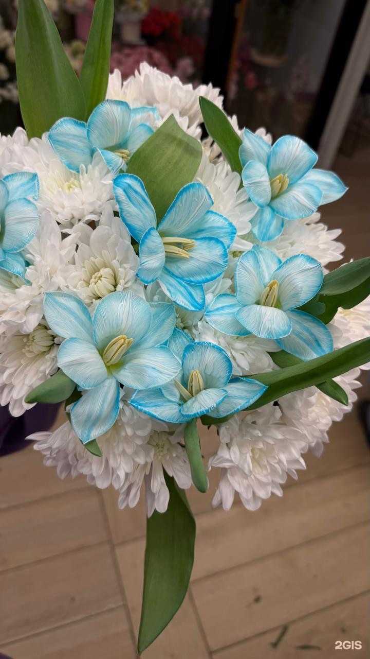 Отзывы на компанию Рябчик в Абакане c фото