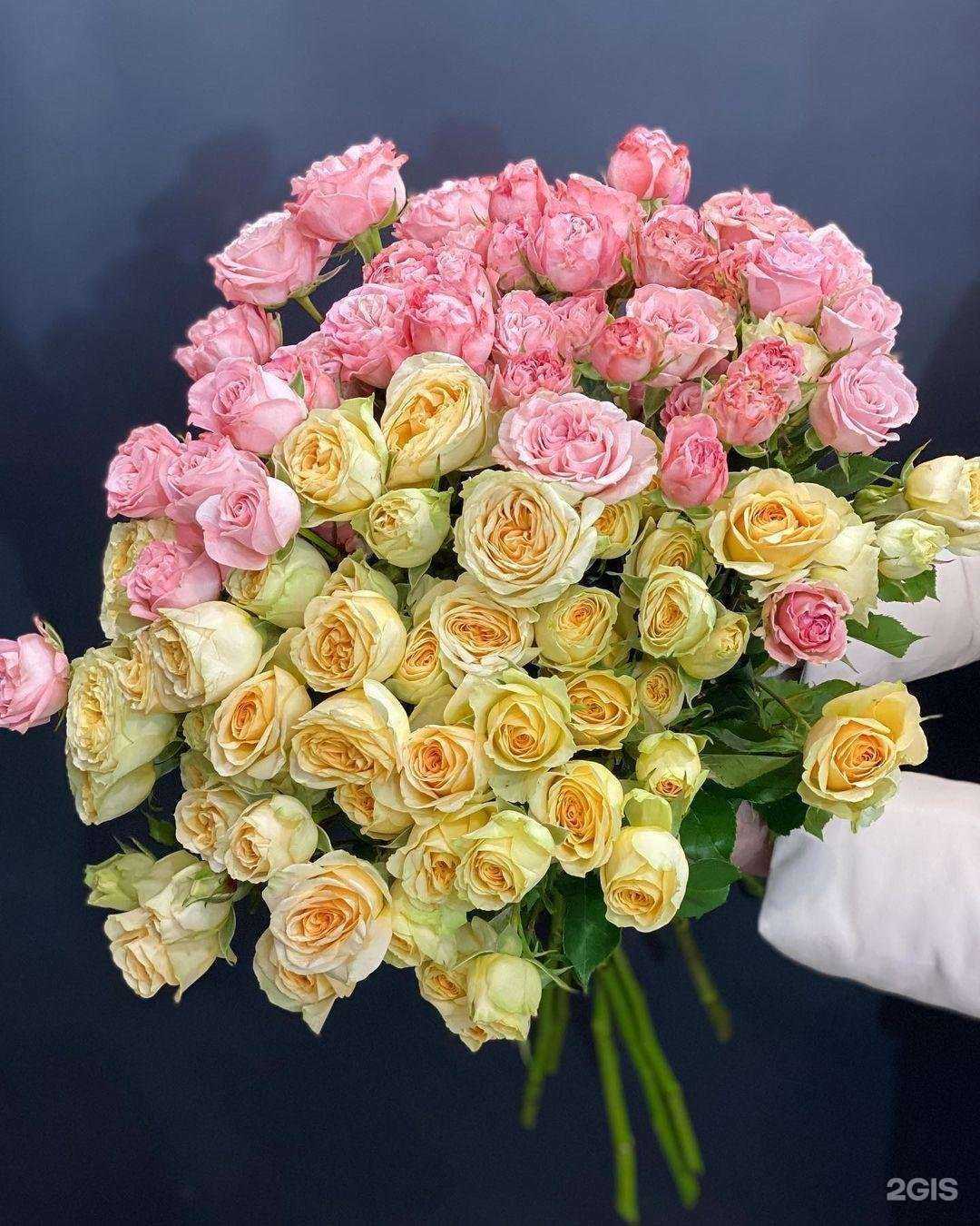 Отзывы на компанию P.I.O.N в Волгограде c фото