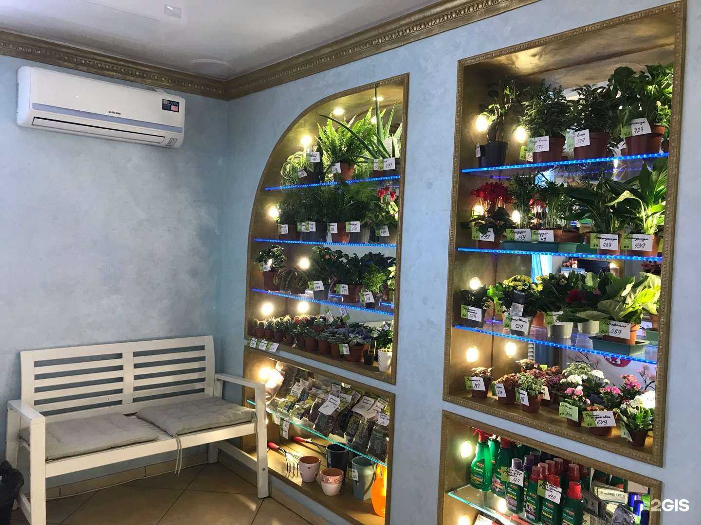Отзывы на компанию Ромашка в г. Ижевск c фото
