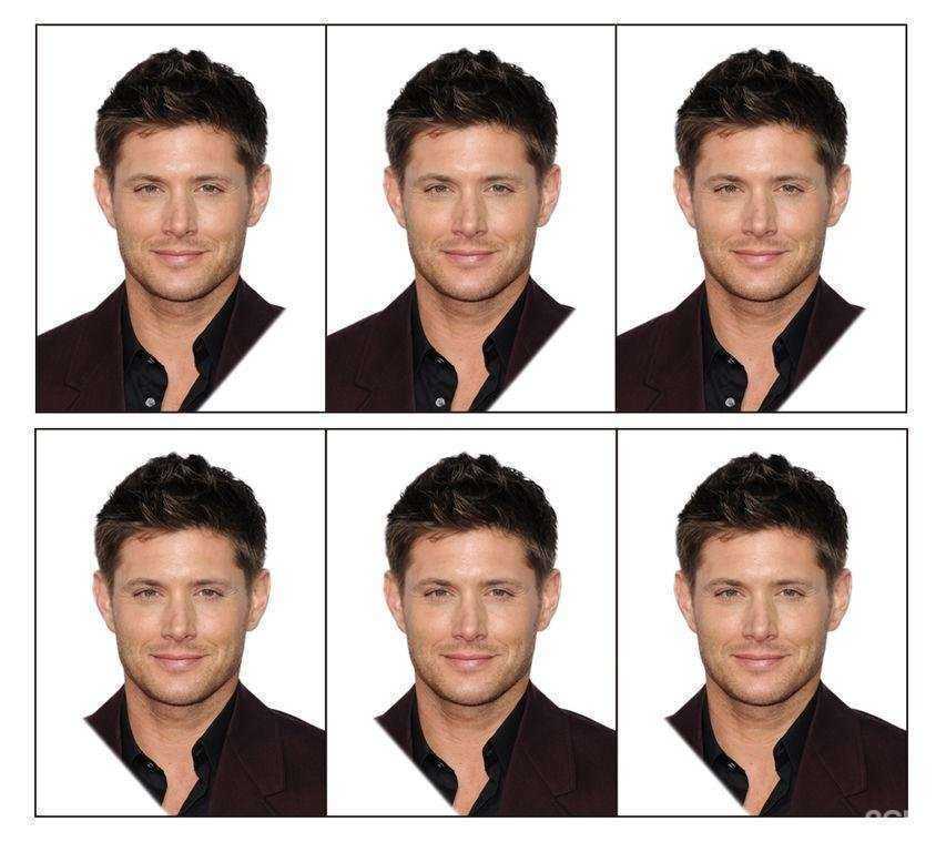 Отзывы на компанию Бабочка в г. Тула c фото