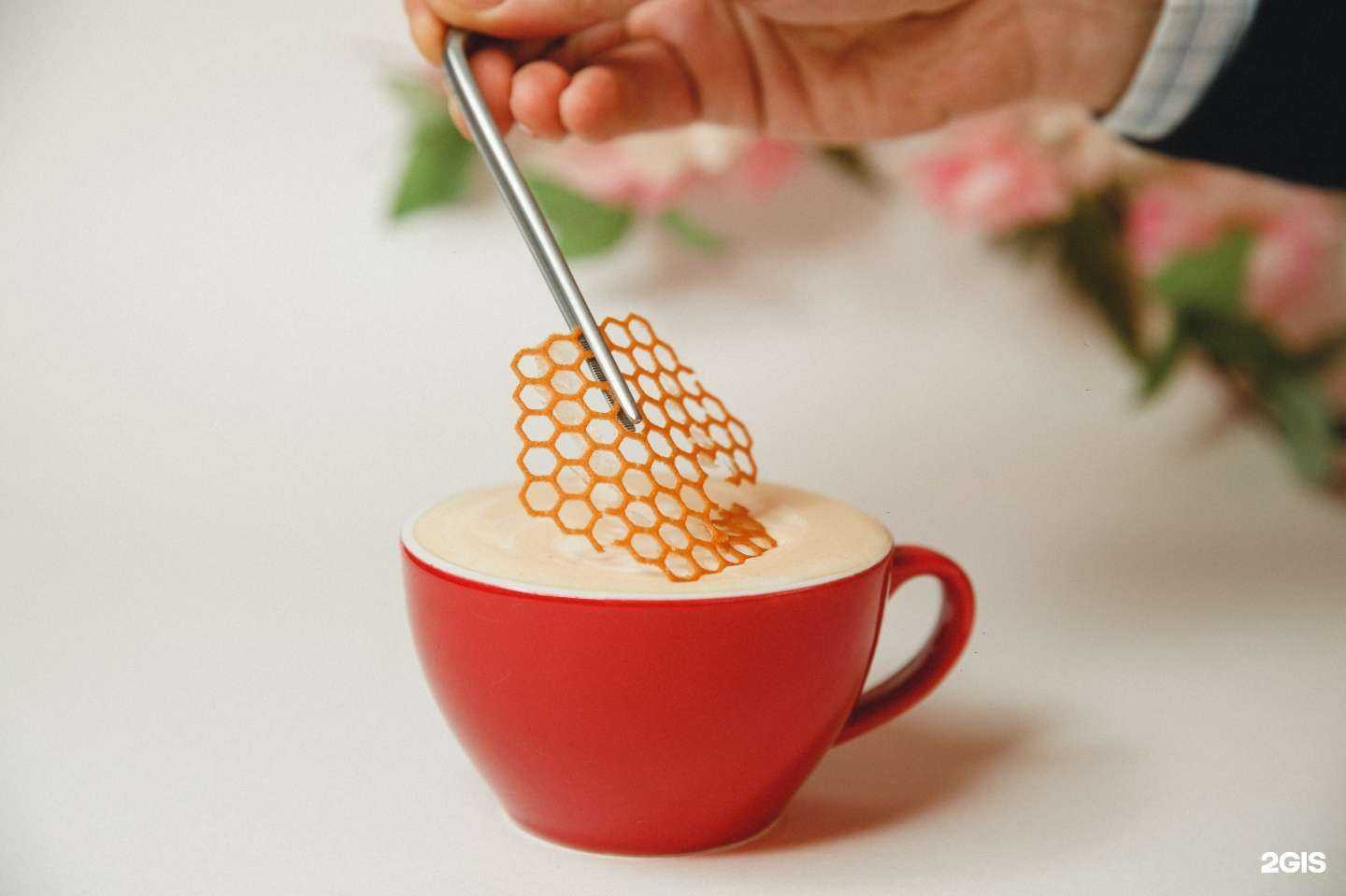 Отзывы на компанию Сны любимого кота в Калуге c фото