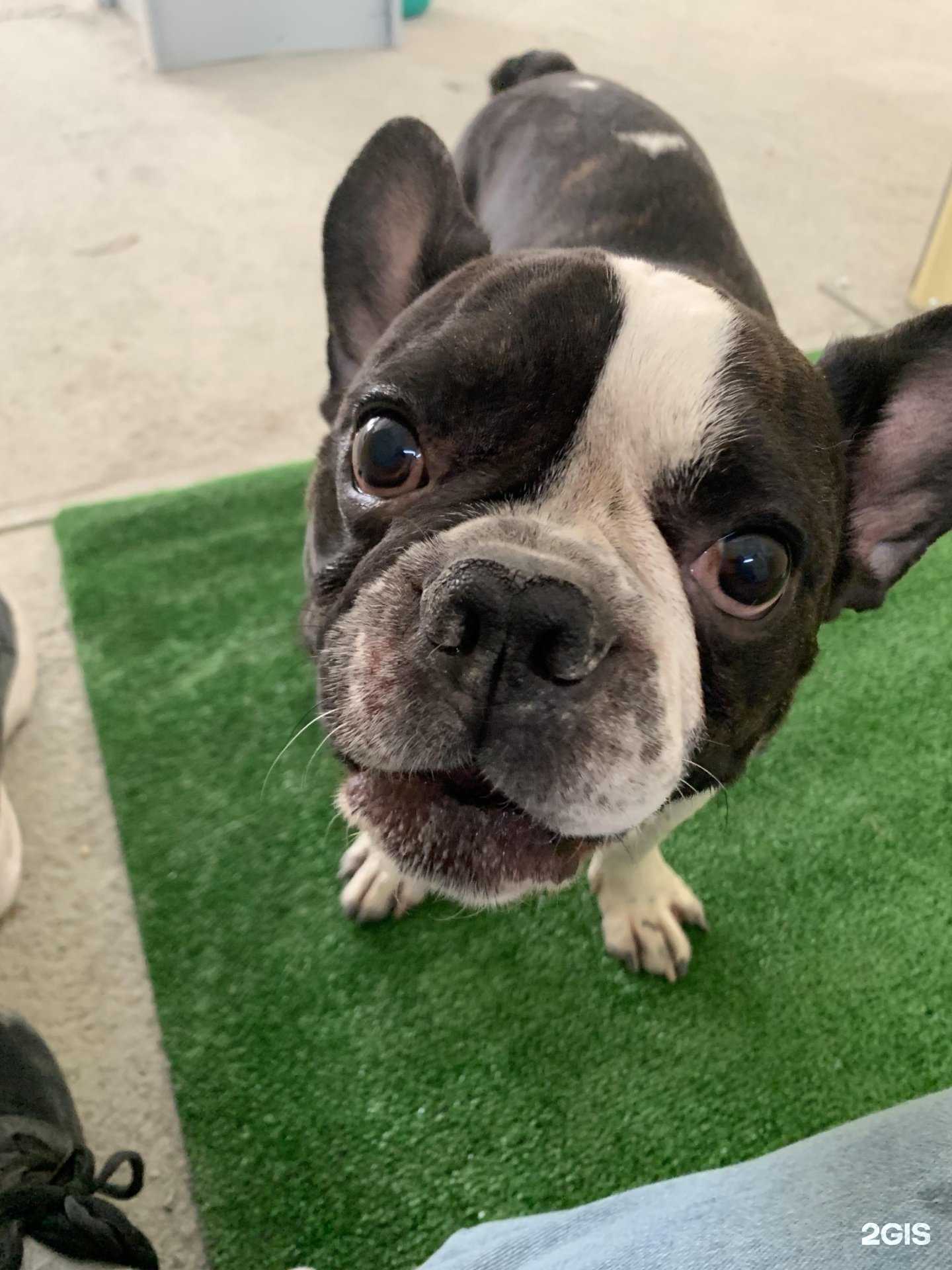 Отзывы на компанию Маленький принц в г. Барнаул c фото