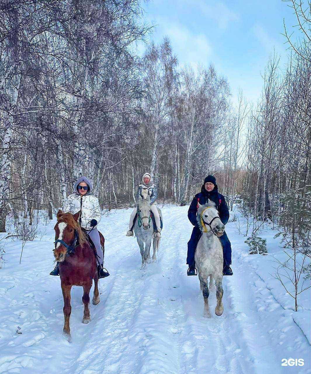 Отзывы на компанию Авангард в Иркутске c фото