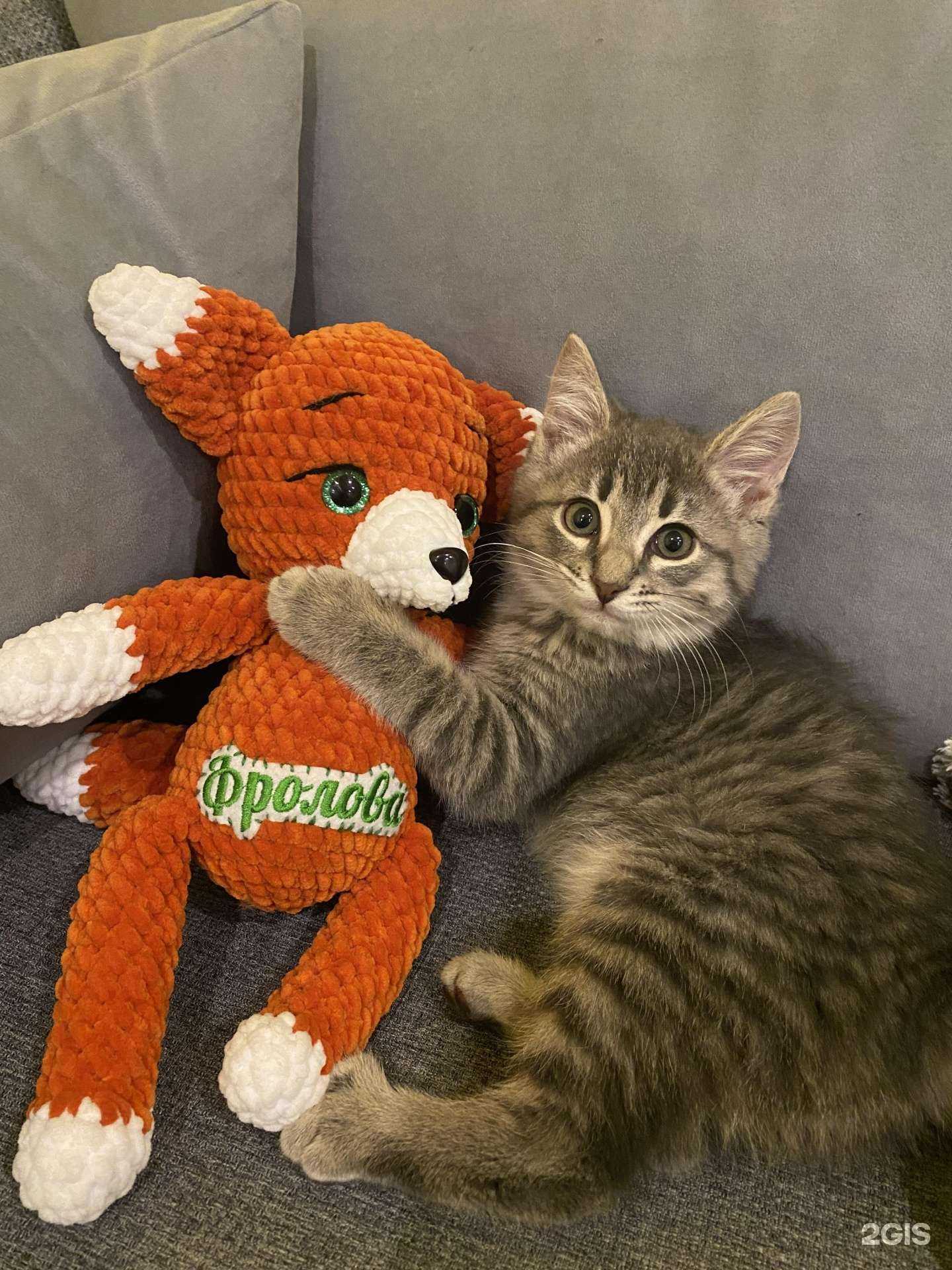 Отзывы на компанию Недвижимость Севера в г. Северодвинск c фото