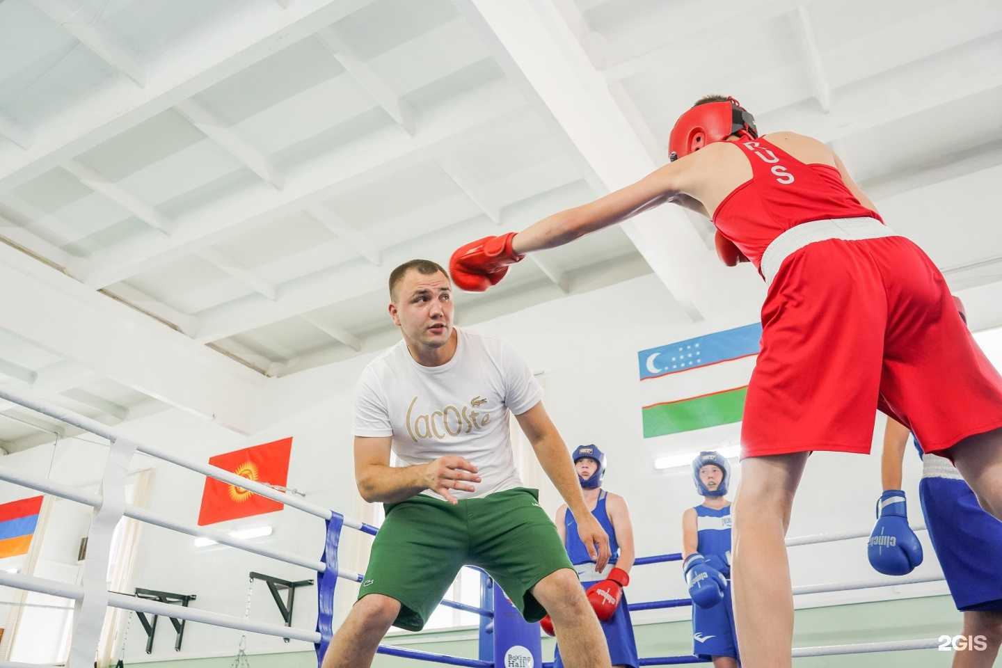 Отзывы на компанию Boxing Hall TPU в Томске c фото