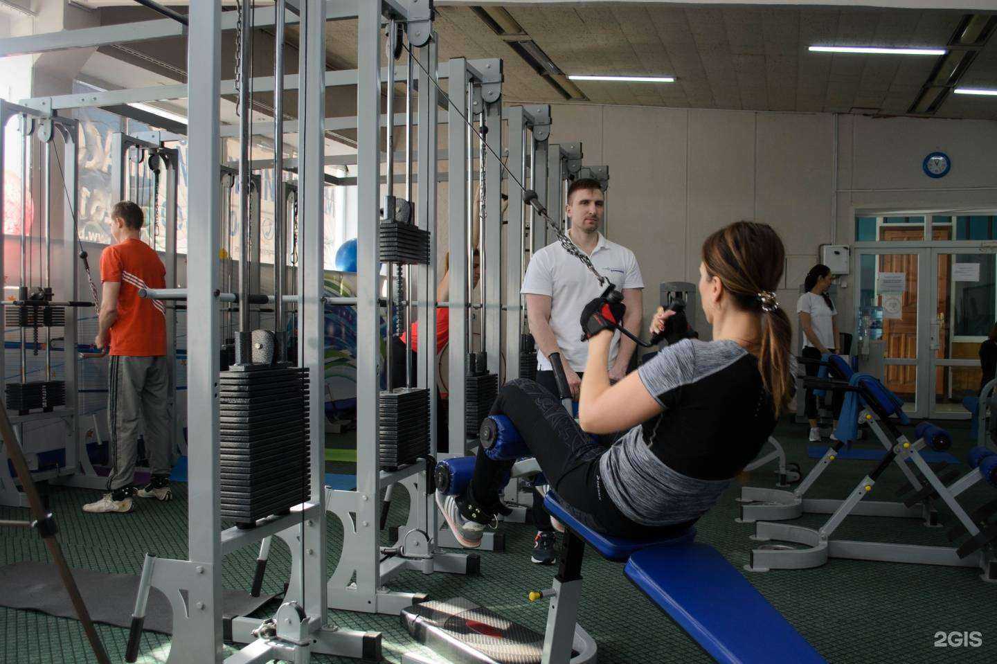 Отзывы на компанию БиоДинамика в г. Ростов-на-Дону c фото