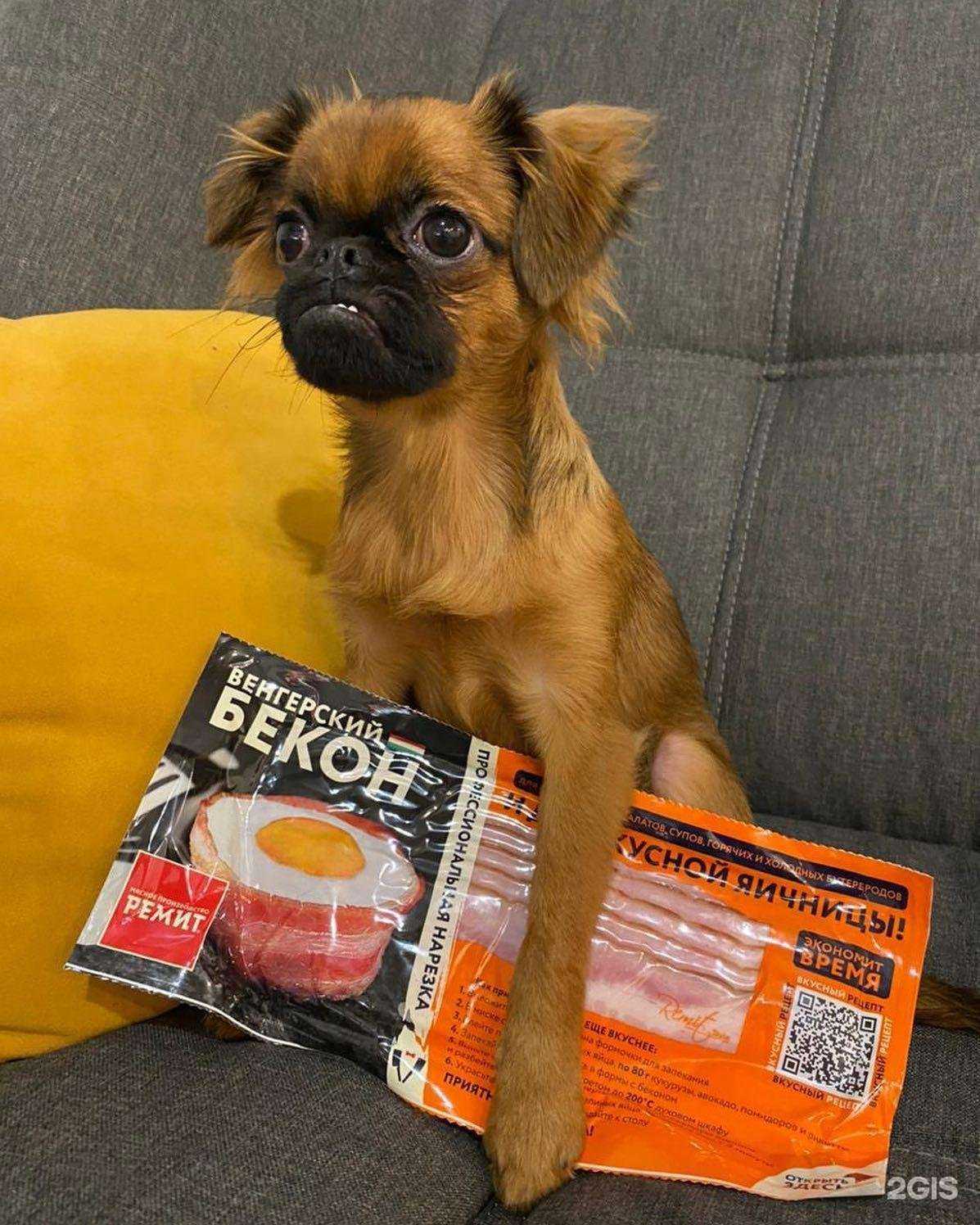 Отзывы на компанию Ремит в Одинцове c фото