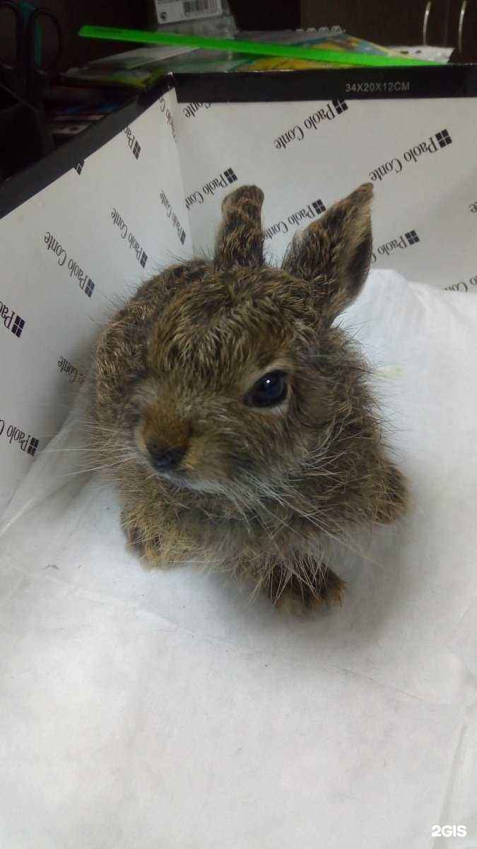 Отзывы на компанию Доброе сердце в Уфе c фото