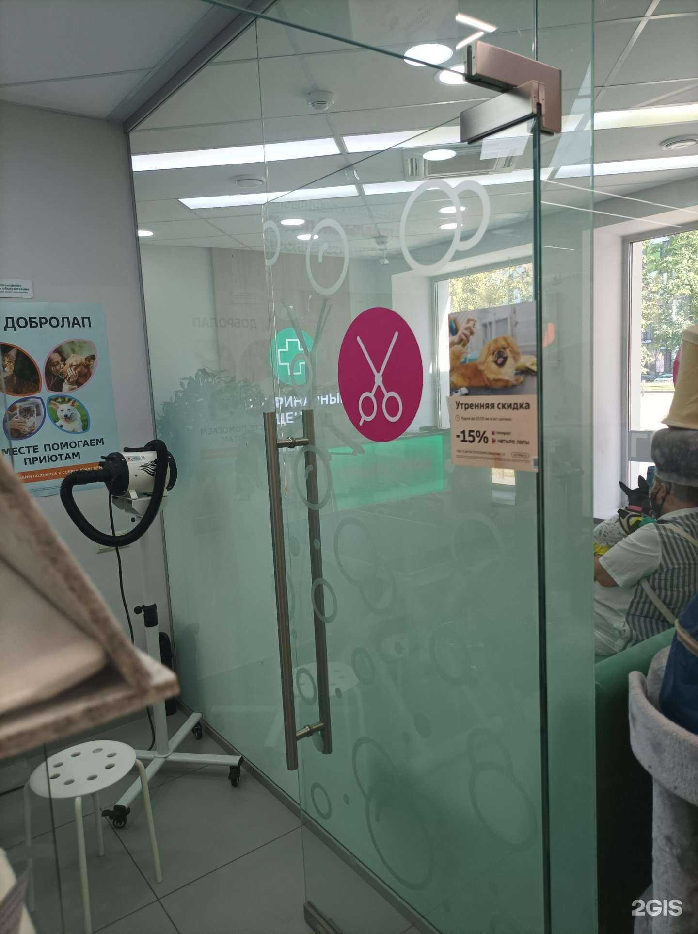 Отзывы на компанию Четыре лапы в Одинцове c фото