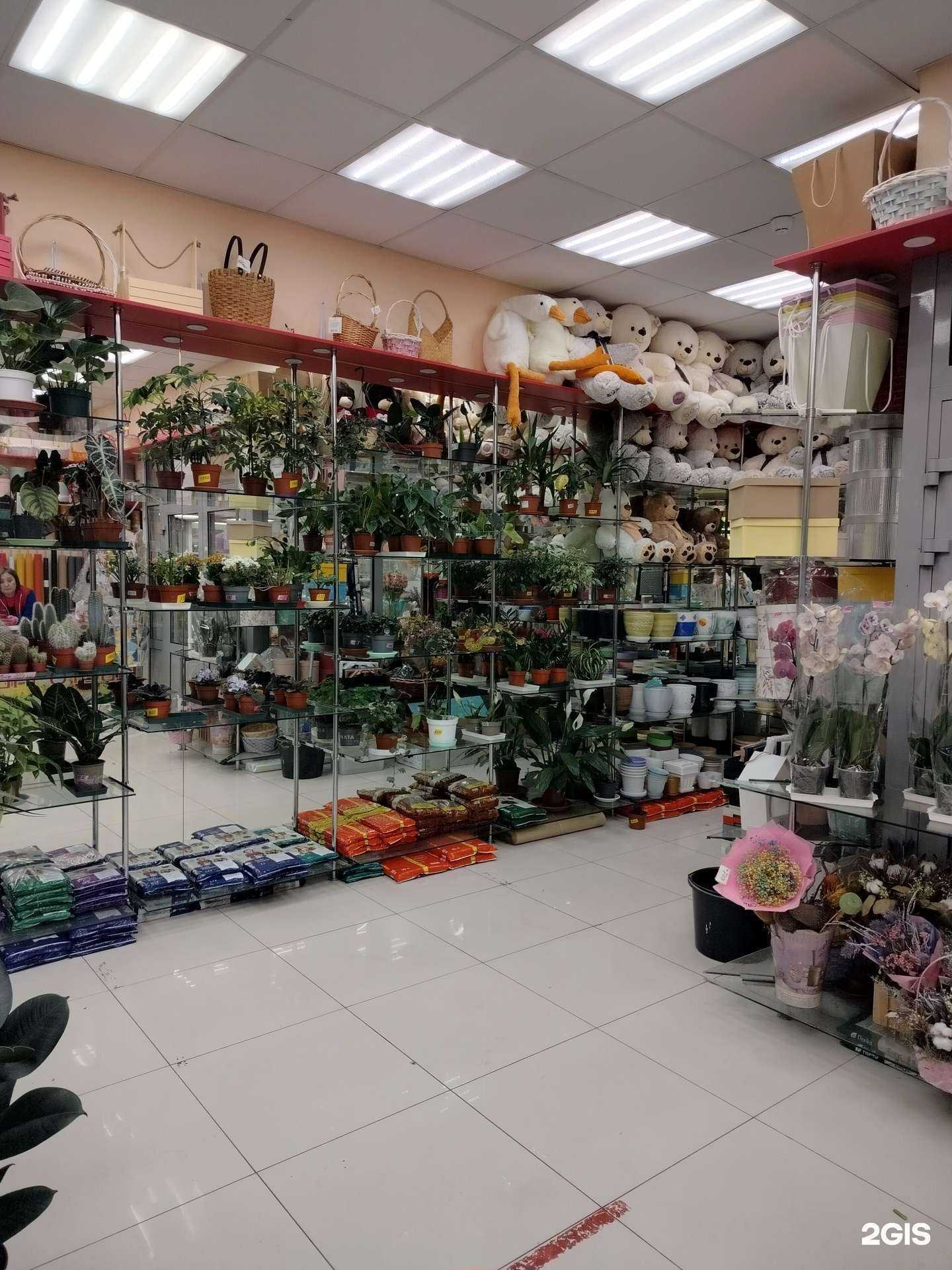 Отзывы на компанию Цветочный маркет в г. Реутов c фото