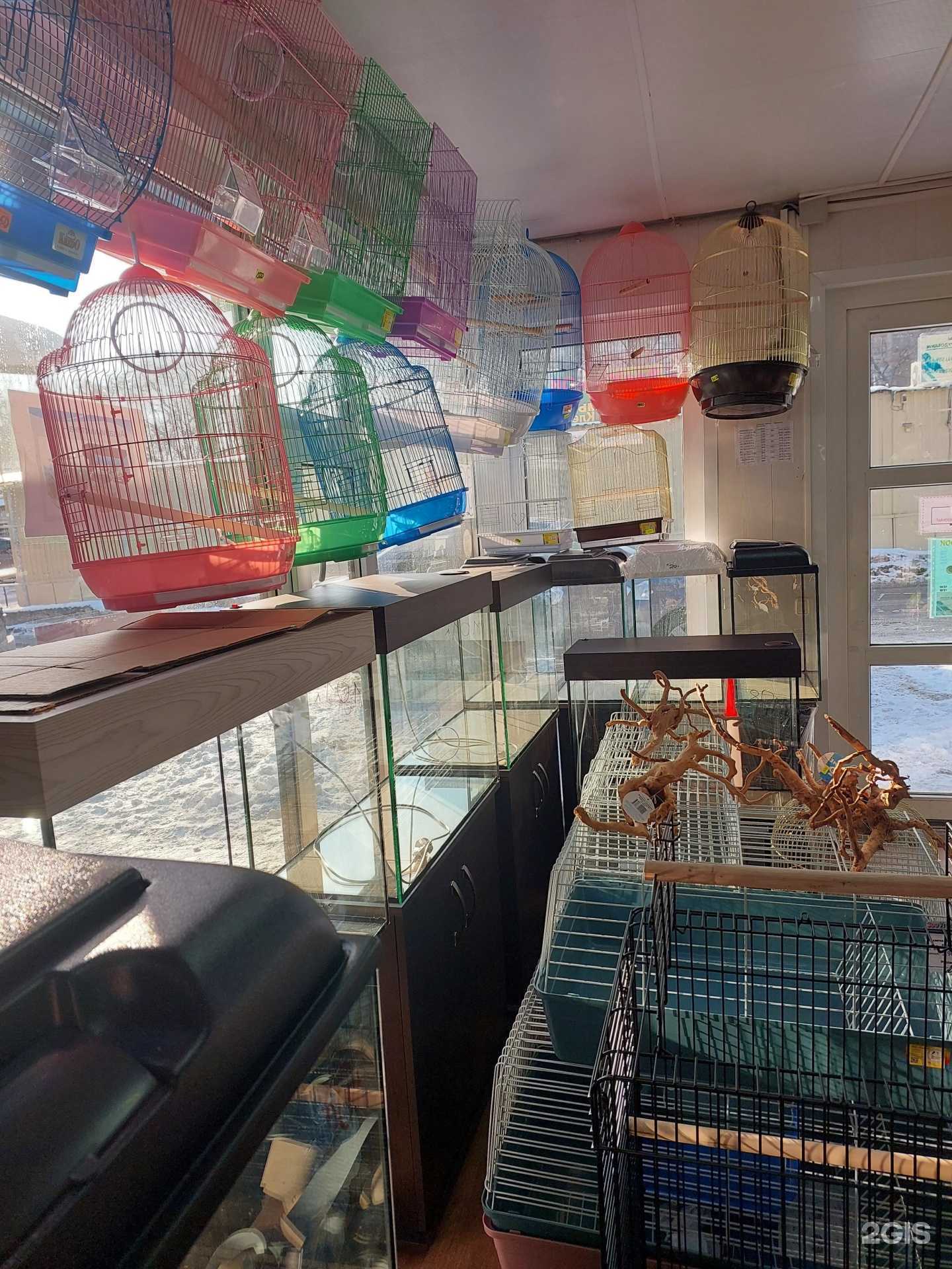 Отзывы на компанию Зооуголок в Воронеже c фото