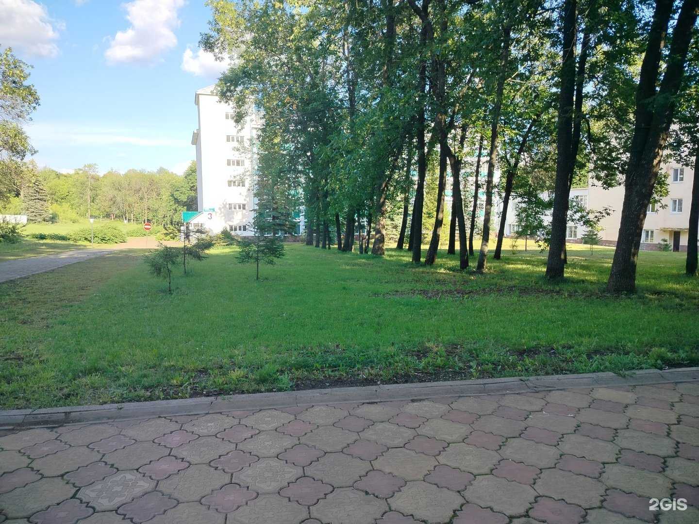 Отзывы на компанию Зеленая роща в Уфе c фото - фотография 2 из 2