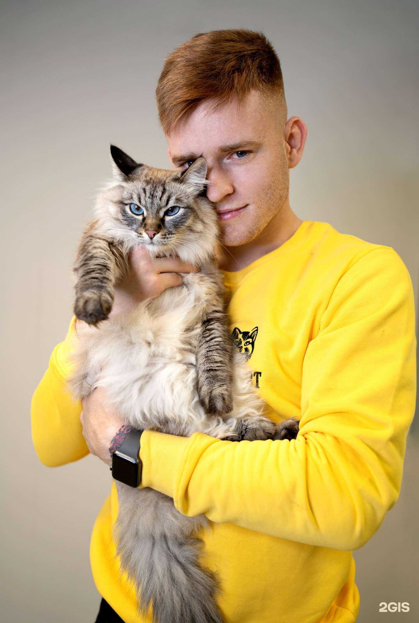 Отзывы на компанию Сэр кот в г. Отрадное c фото