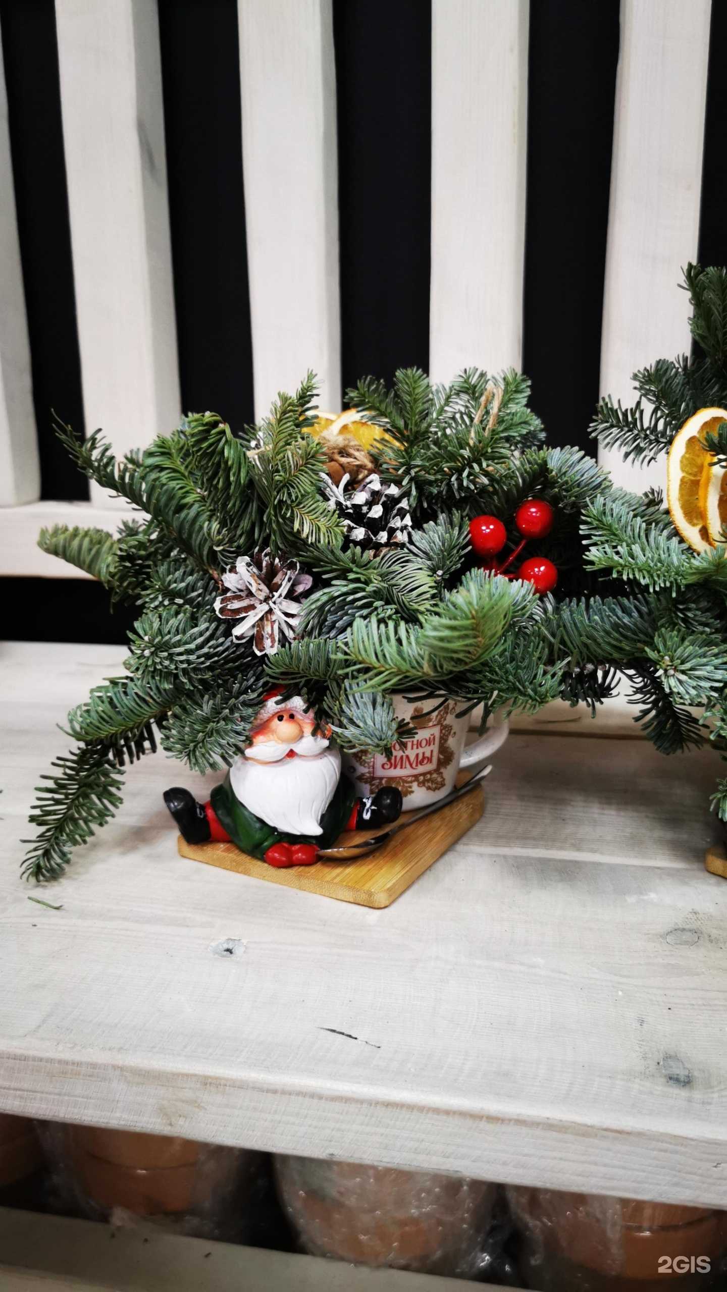 Отзывы на компанию M.i.S. в г. Сыктывкар c фото