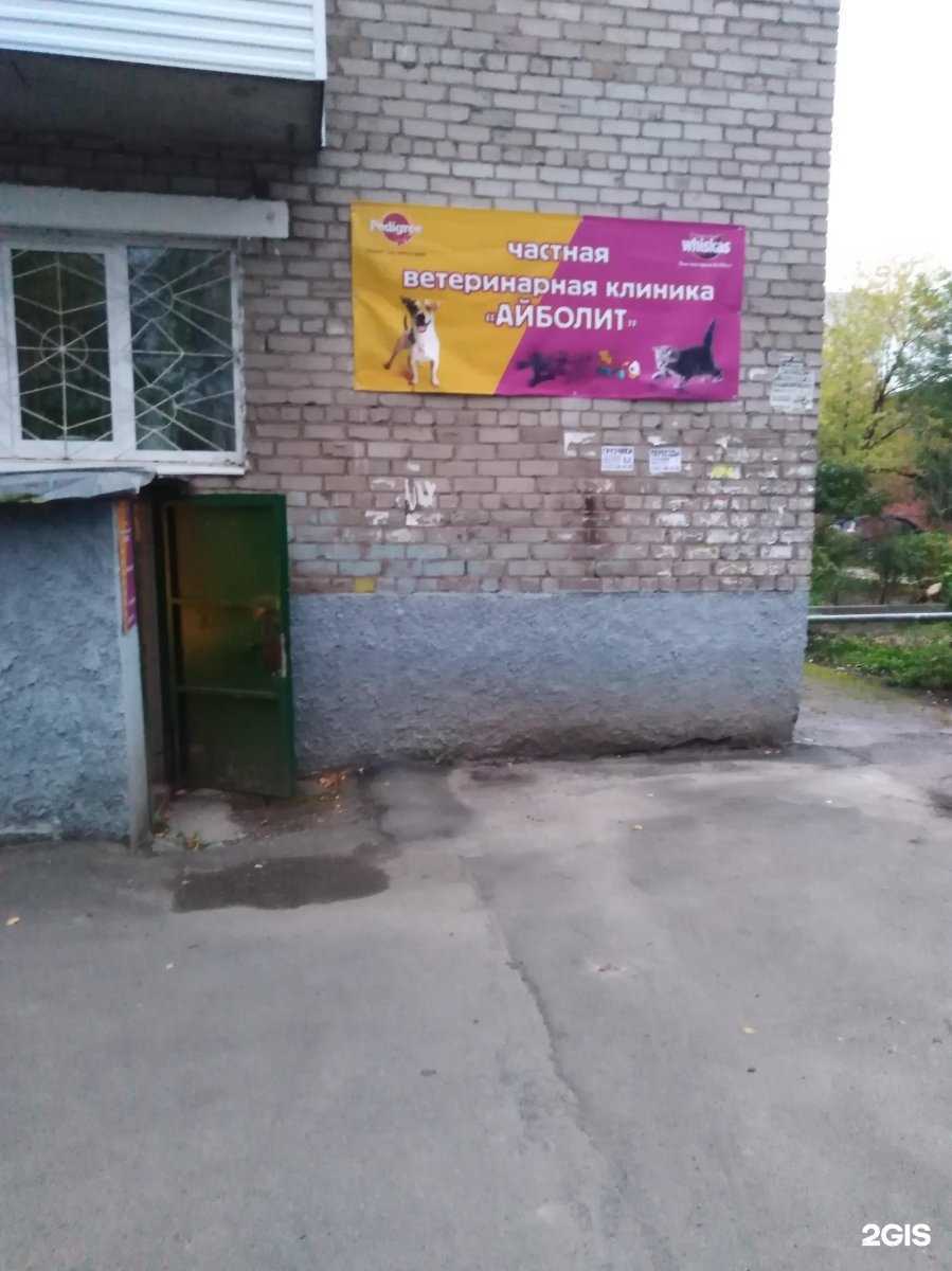 Отзывы на компанию Айболит в г. Пермь c фото