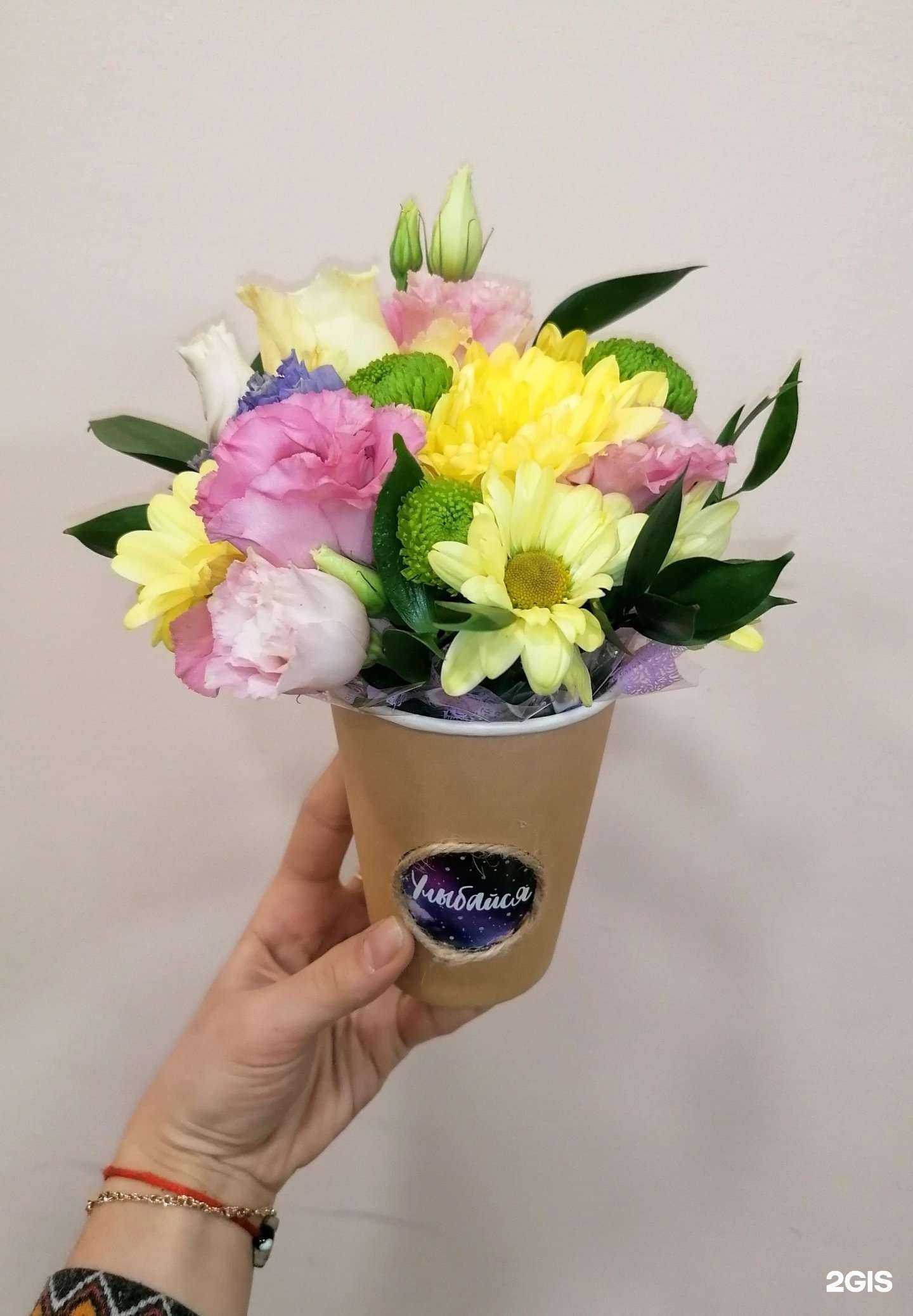 Отзывы на компанию Магнолия в г. Мончегорск c фото