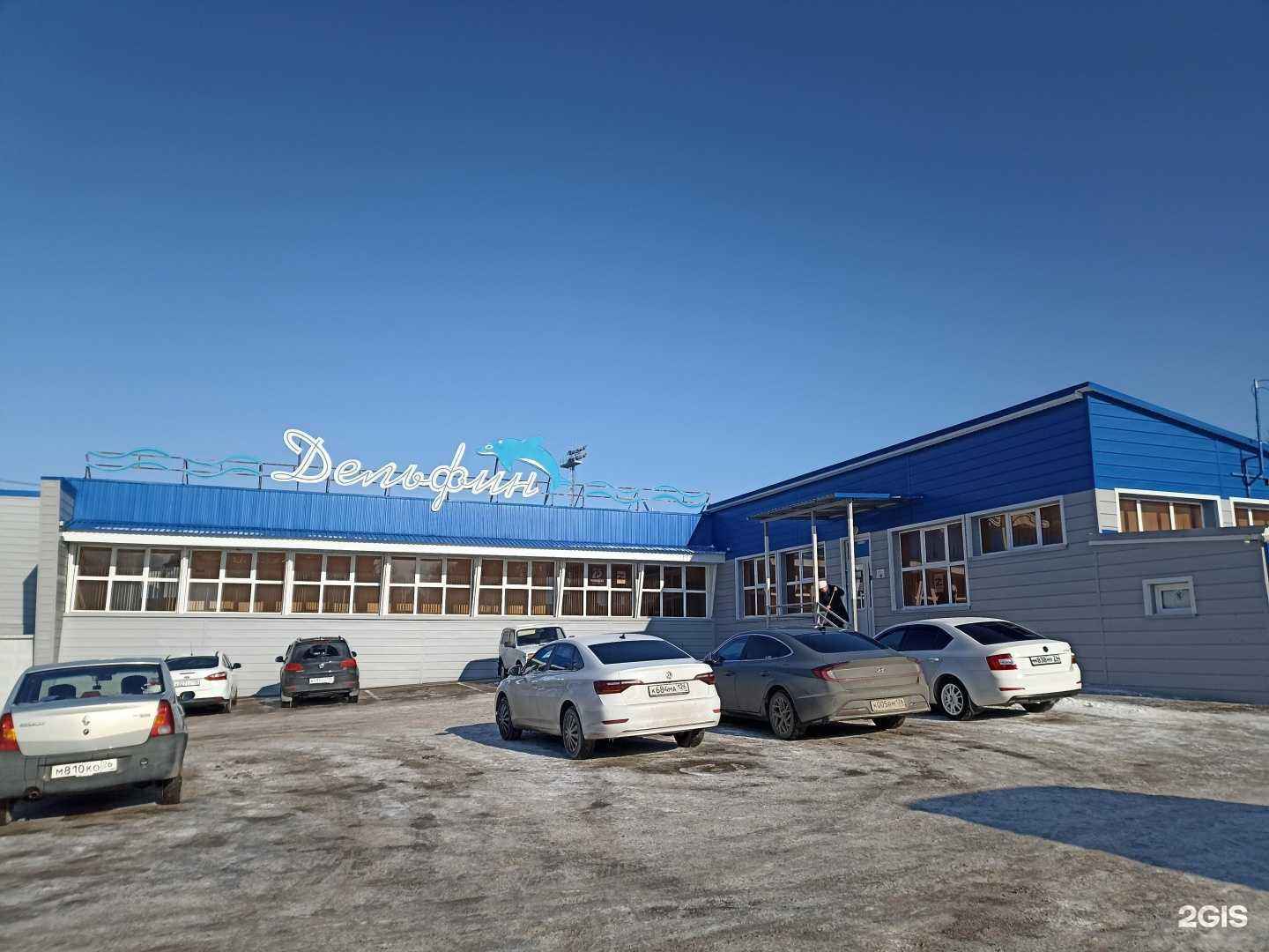 Отзывы на компанию Дельфин в г. Лермонтов c фото