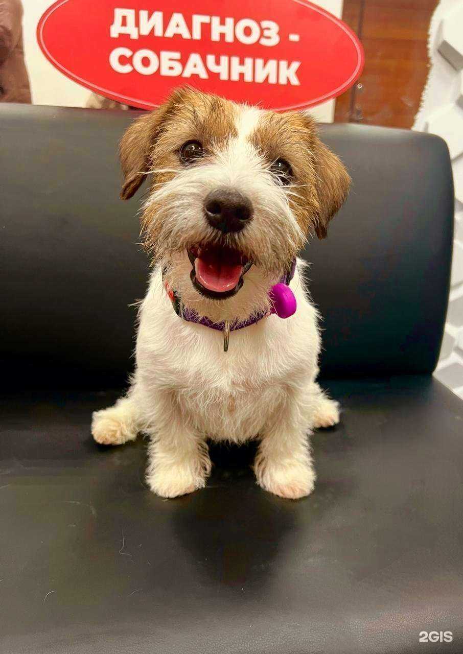 Отзывы на компанию Тюменские вкусняшки в Тюмени c фото