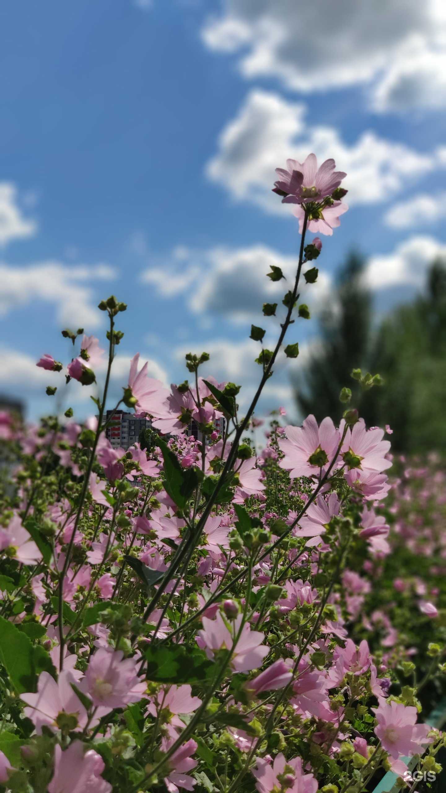 Отзывы на компанию Стрижка&Стиль в Тюмени c фото - фотография 2 из 2