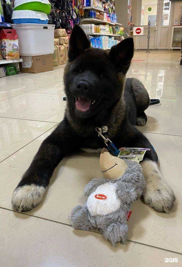 Отзывы на компанию Космозоо в г. Архангельск c фото