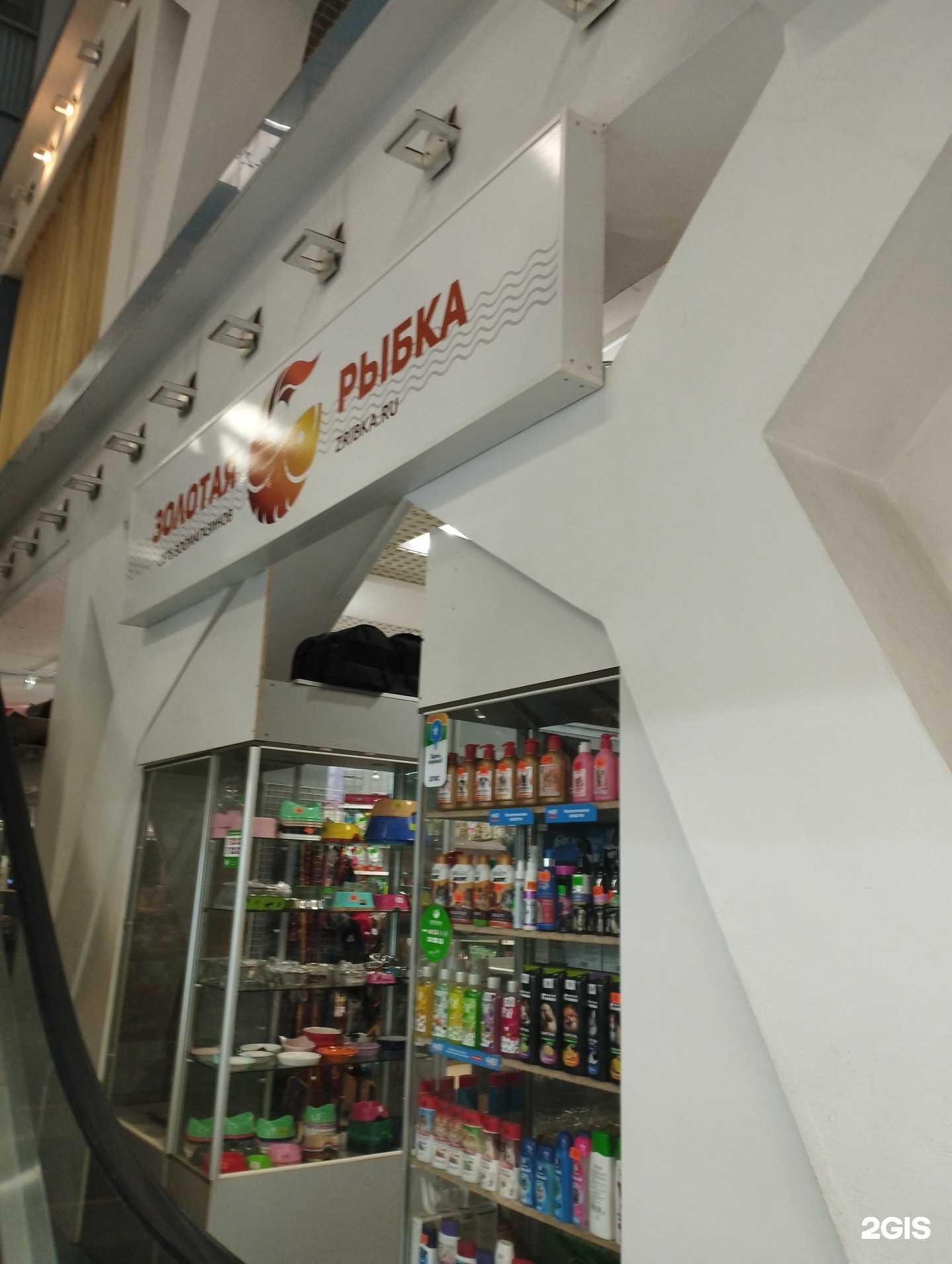 Отзывы на компанию Золотая рыбка в Нижнем Новгороде c фото