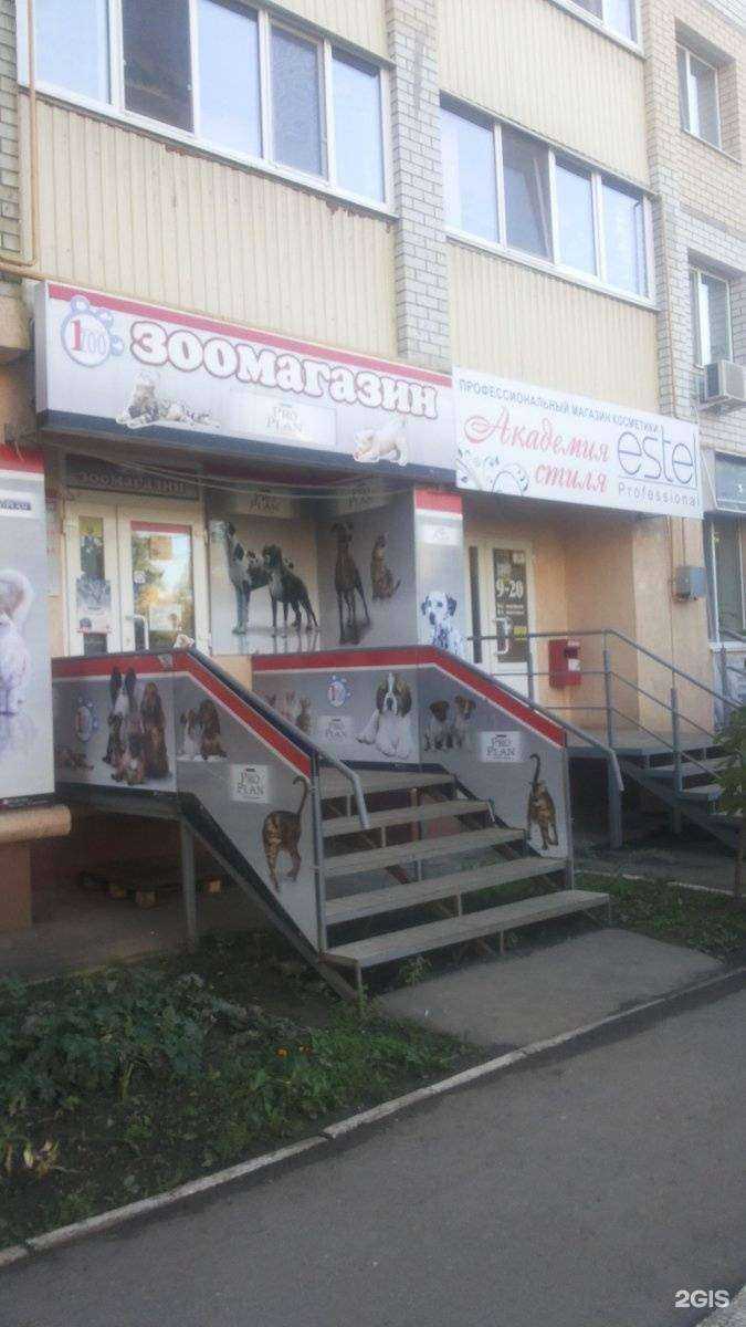 Отзывы на компанию Зоо-ленд в Энгельсе c фото - фотография 2 из 2