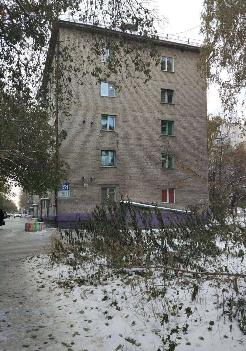 Отзывы на компанию Киоск фастфудной продукции в Новосибирске c фото