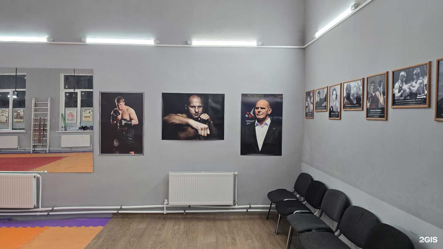 Отзывы на компанию Академия бокса в Курске c фото