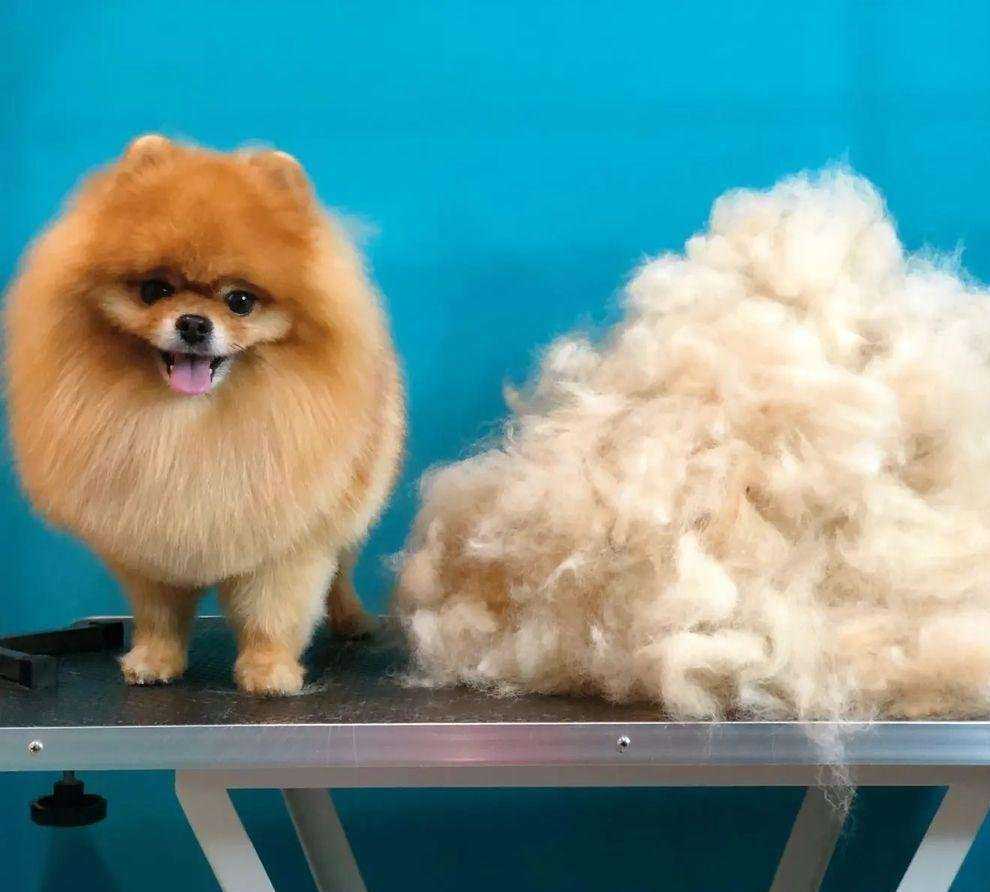 Отзывы на компанию Кабоська в г. Мурманск c фото