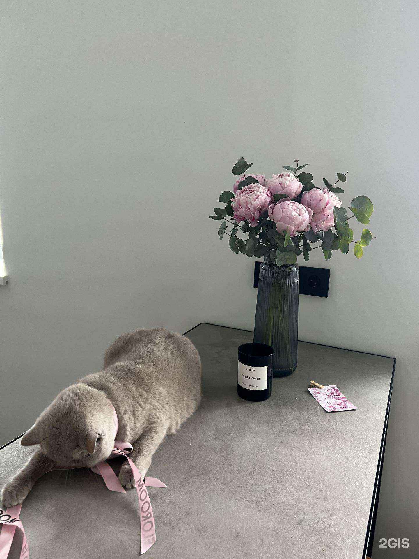 Отзывы на компанию Конструкт в Владивостоке c фото