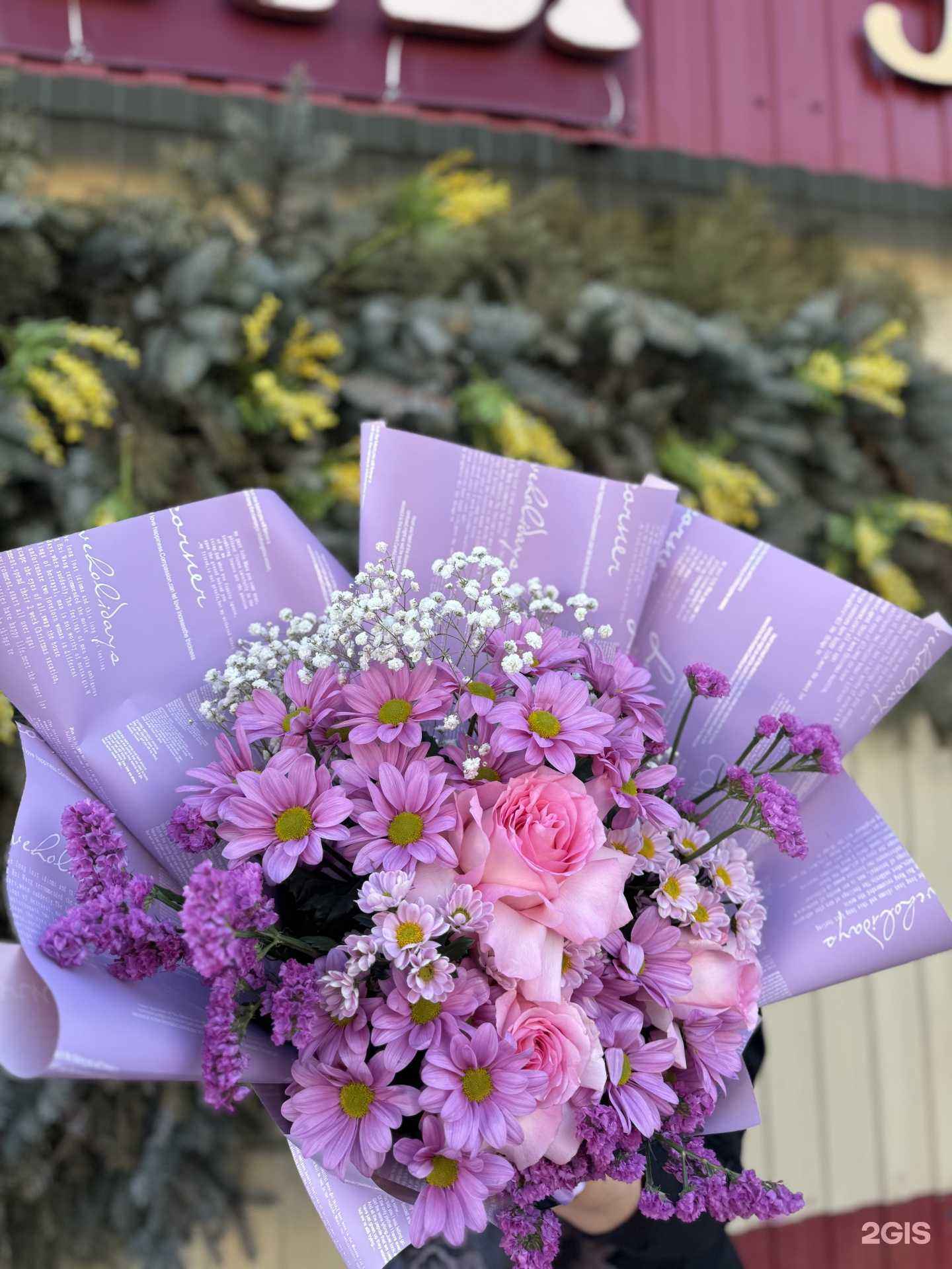 Отзывы на компанию Эдельвейс в г. Коломна c фото