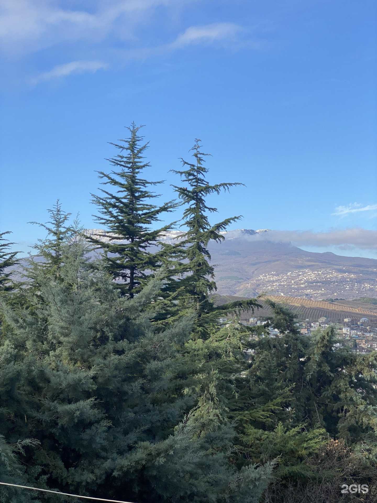 Отзывы на компанию Сменикварти.ру в Воронеже c фото