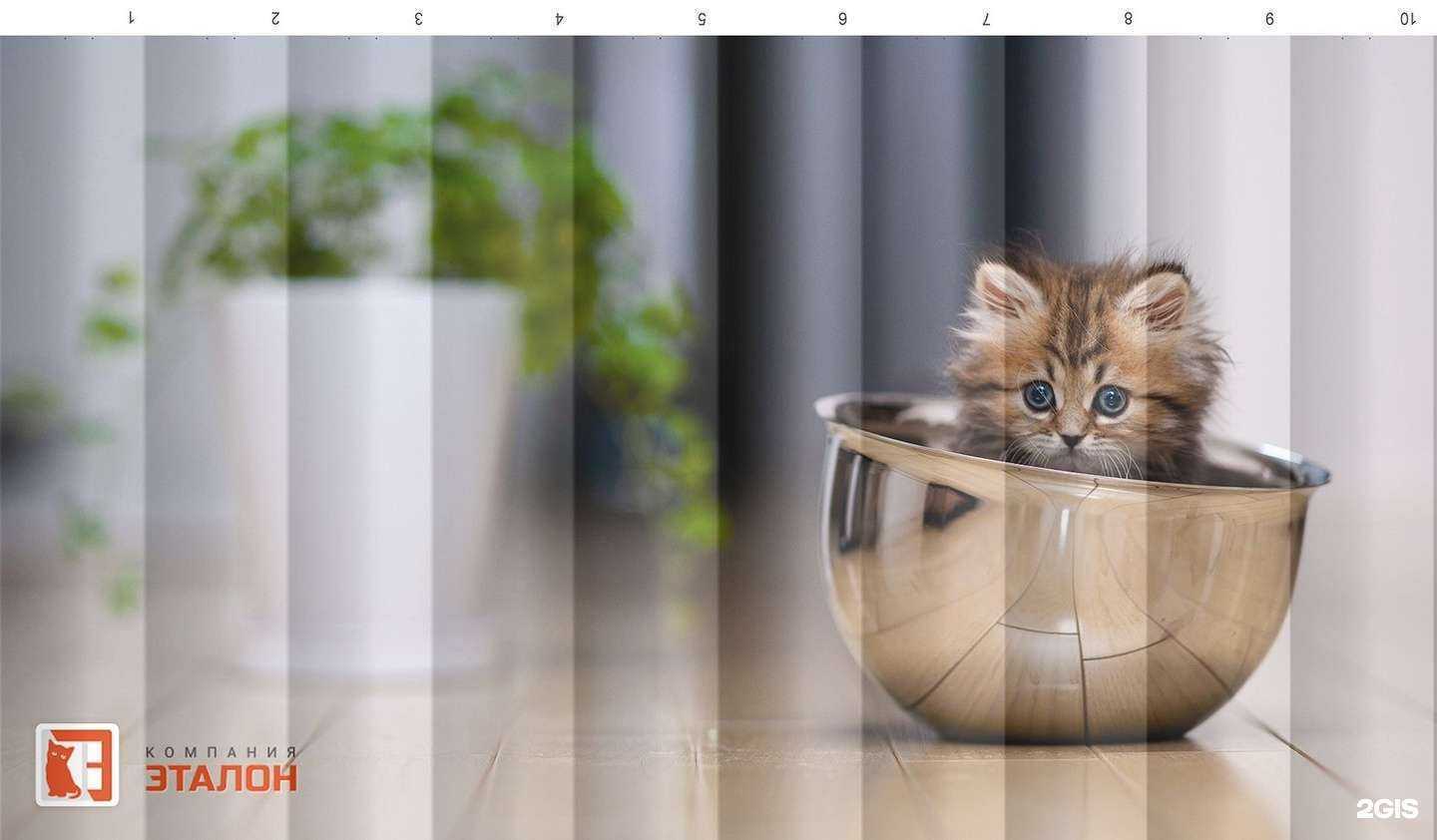 Отзывы на компанию Эталон в г. Калуга c фото