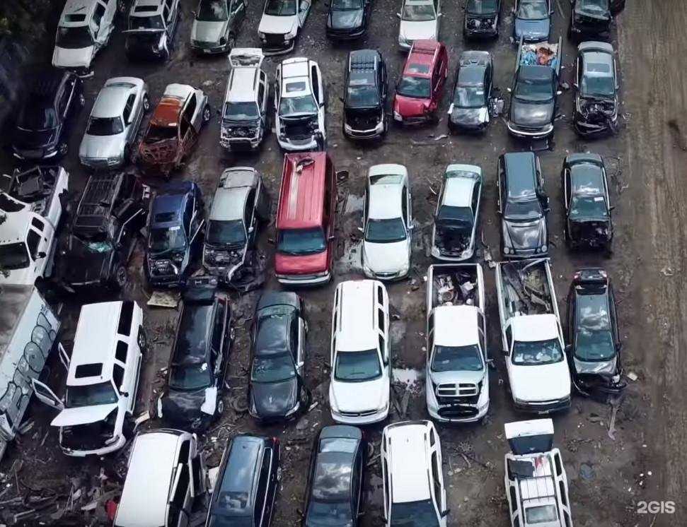 Отзывы на компанию Компания по выкупу автомобилей в г. Кострома c фото