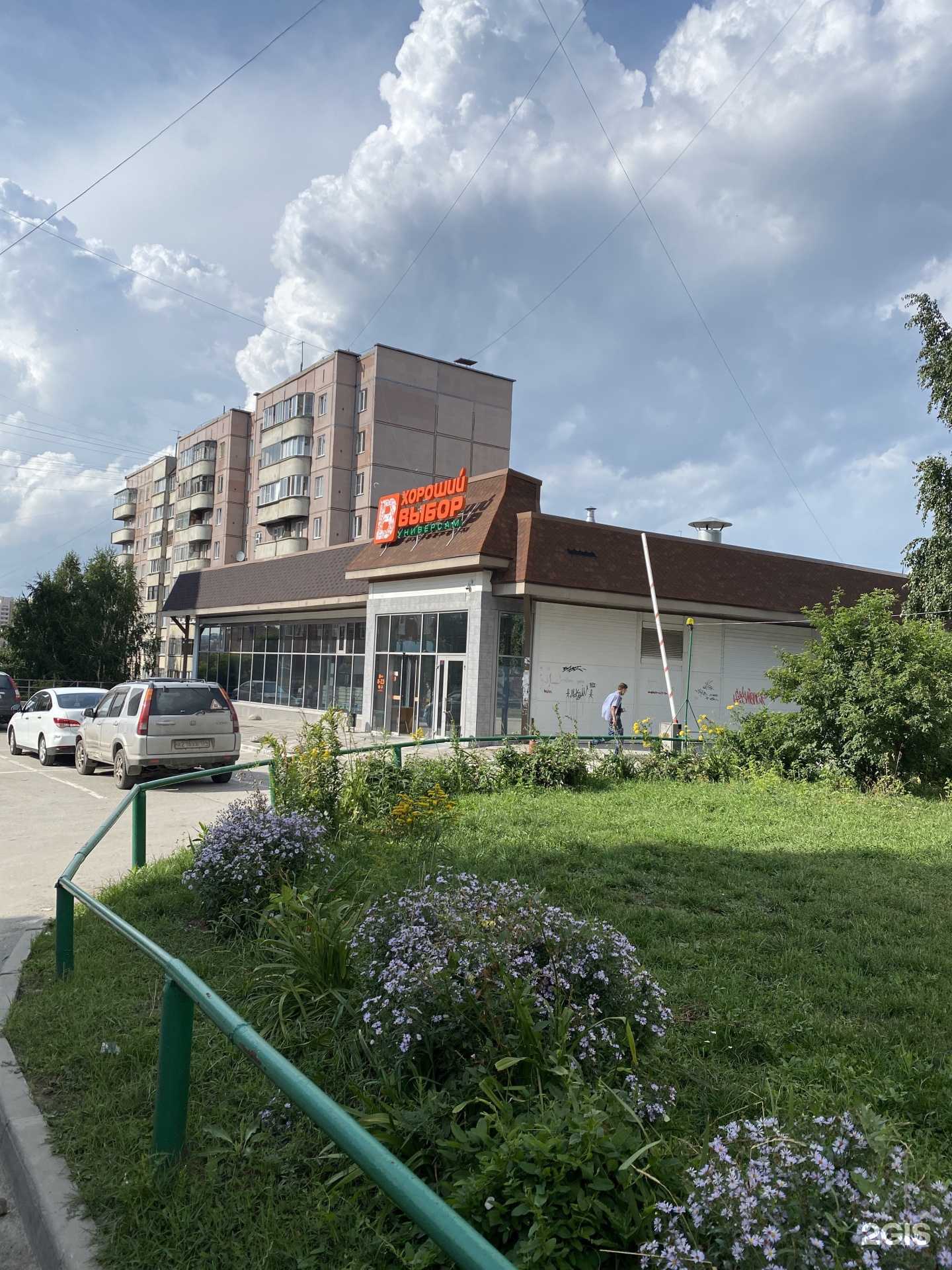 Отзывы на компанию Мокрый нос в Новосибирске c фото - фотография 2 из 2