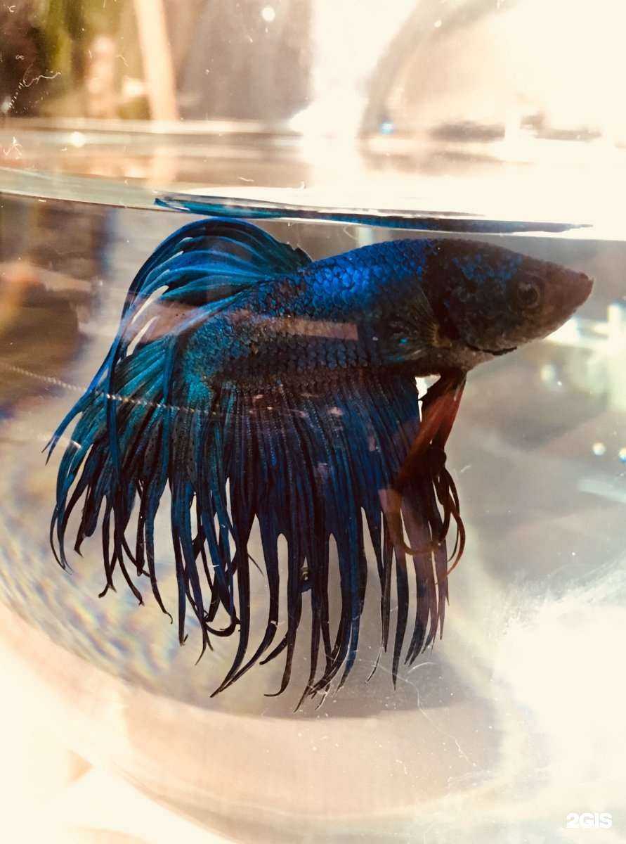 Отзывы на компанию Таити в г. Челябинск c фото