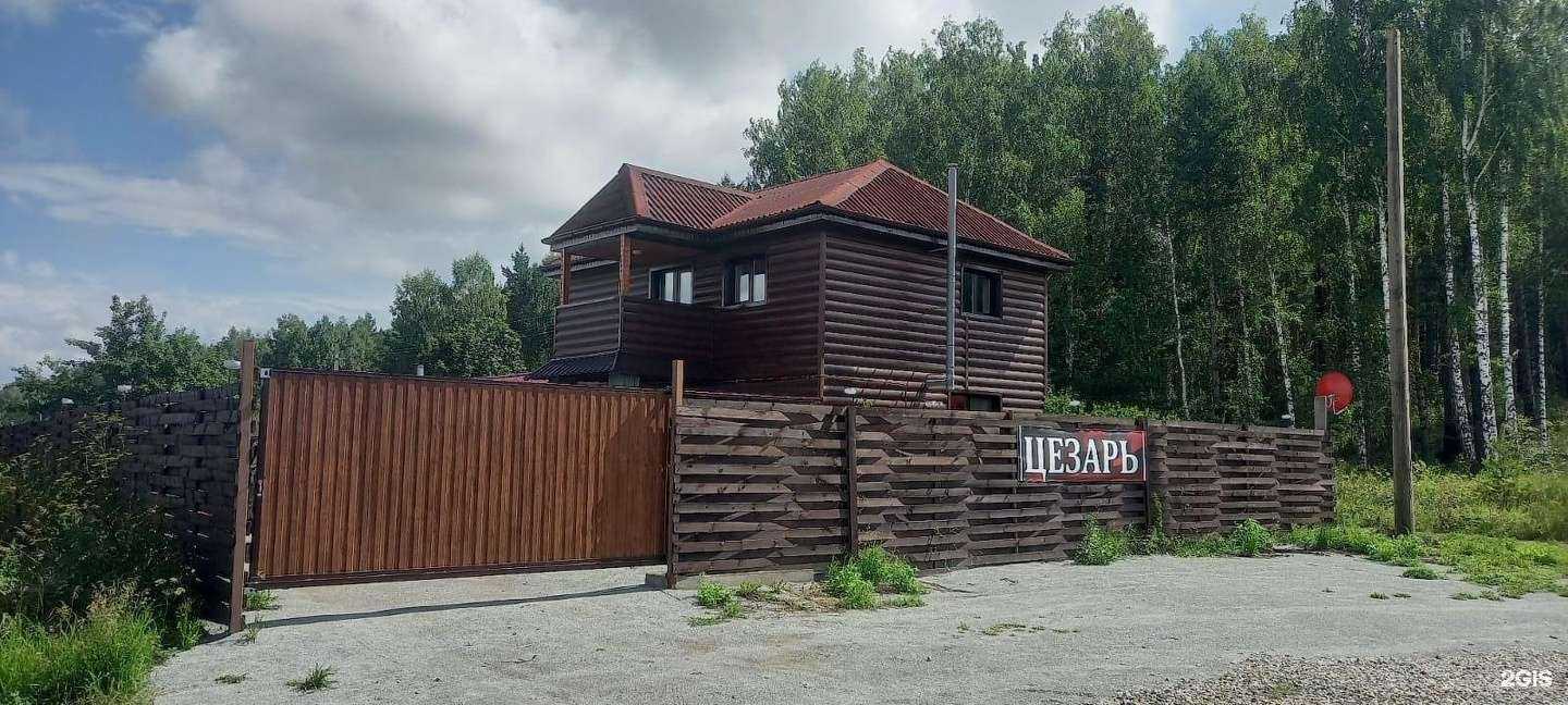 Отзывы на компанию Цезарь в Миассе c фото