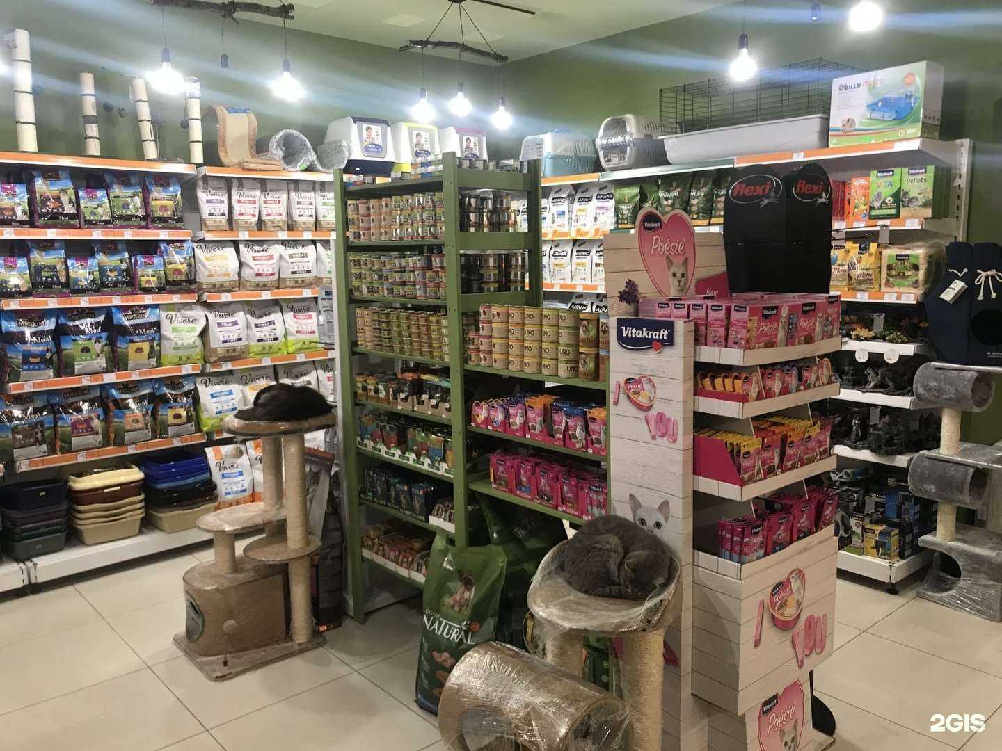 Отзывы на компанию 4етыре лапы в Новороссийске c фото