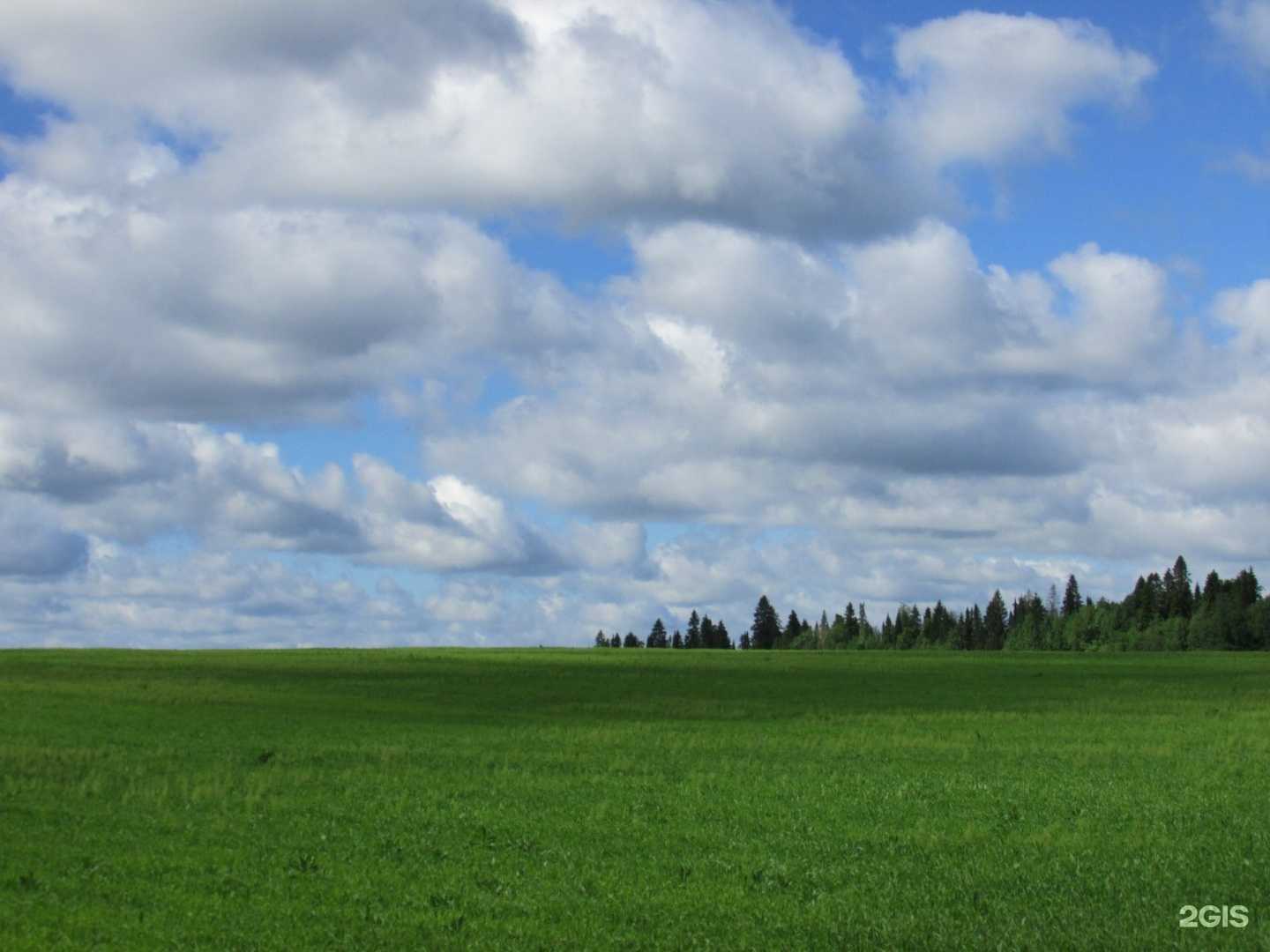 Отзывы на компанию Кадастровый инженер Авдеев Игорь Юрьевич в Перми c фото