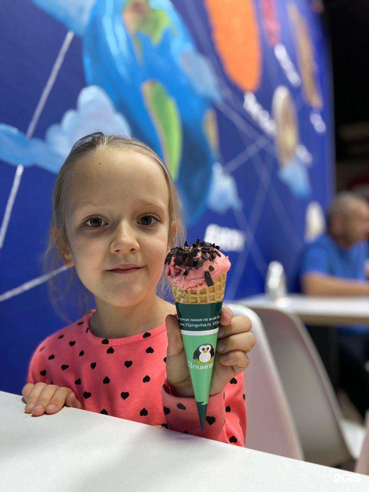 Отзывы на компанию 33 пингвина в Красноярске c фото