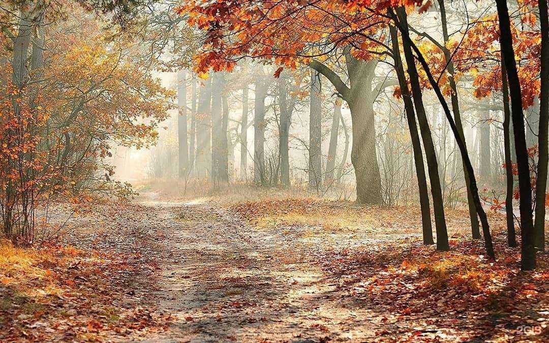 Отзывы на компанию Мерадом в г. Кострома c фото